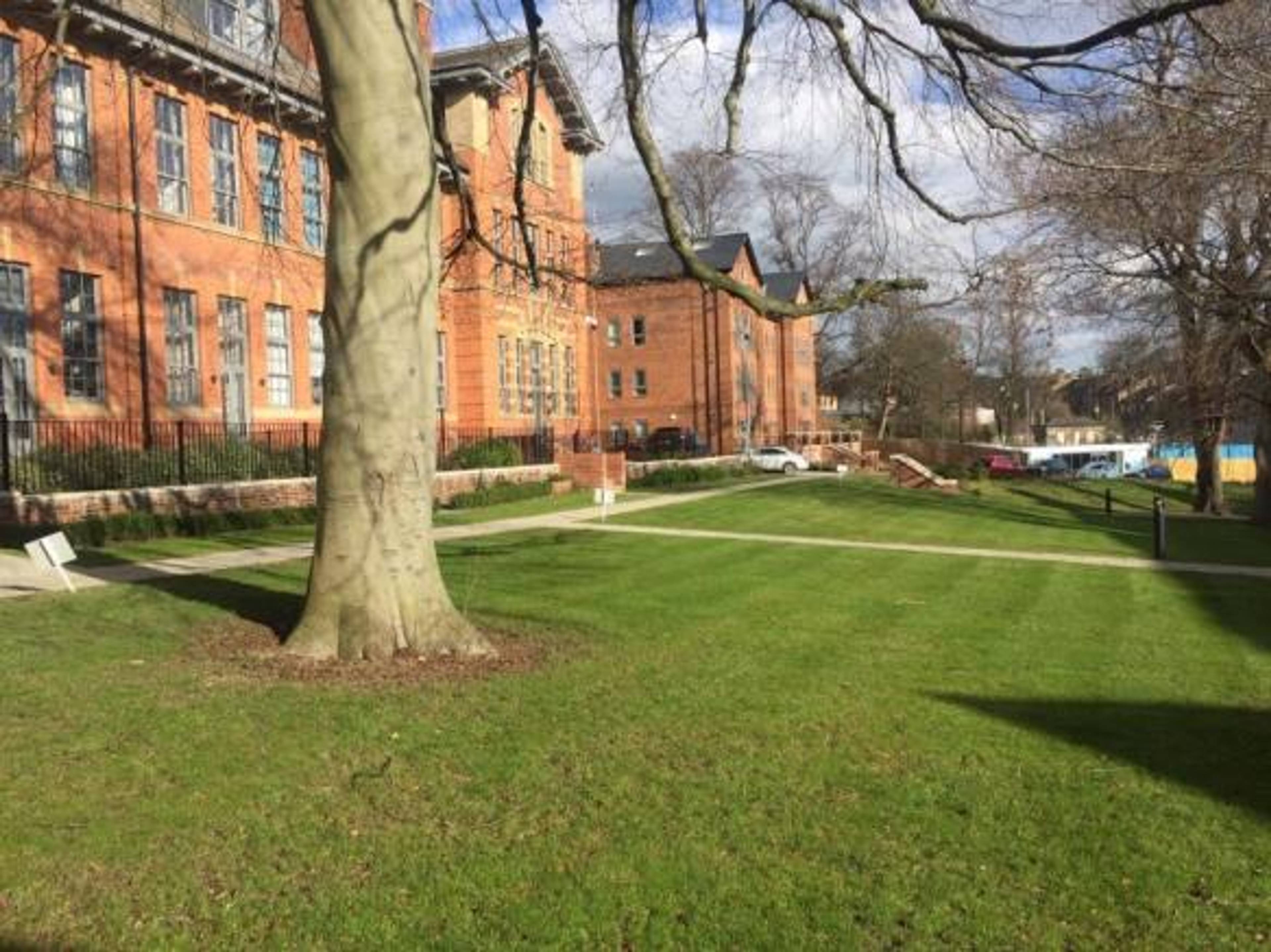 Communal Gardens