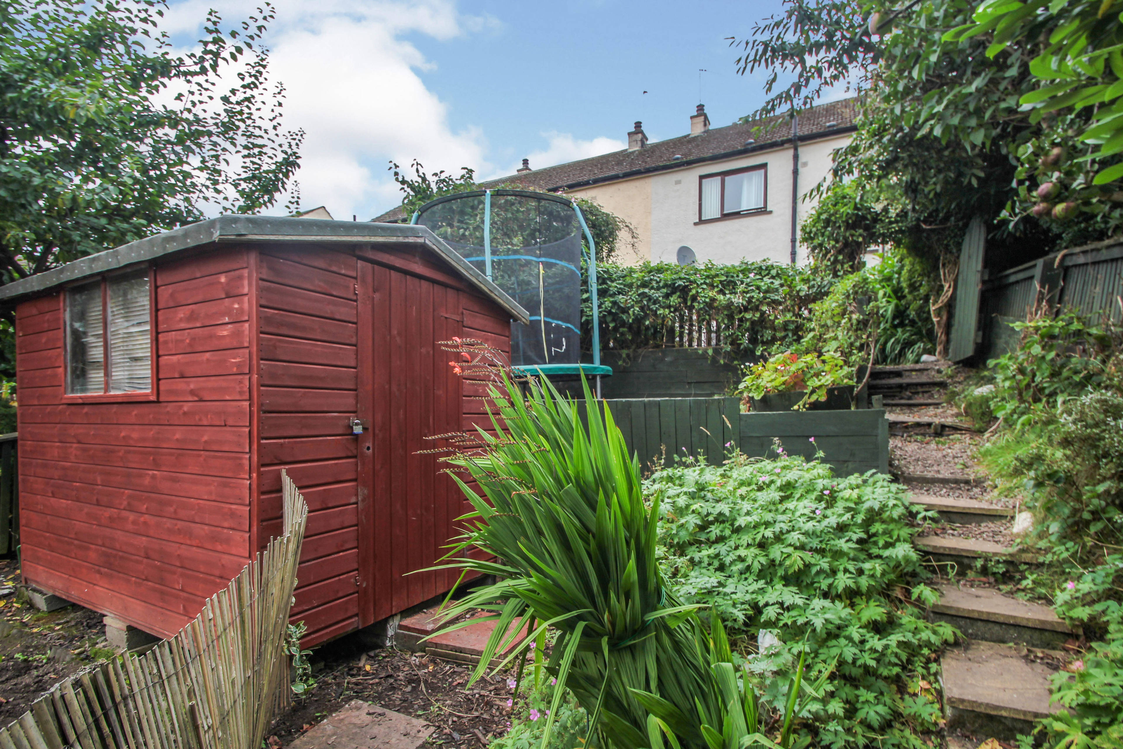 Shed