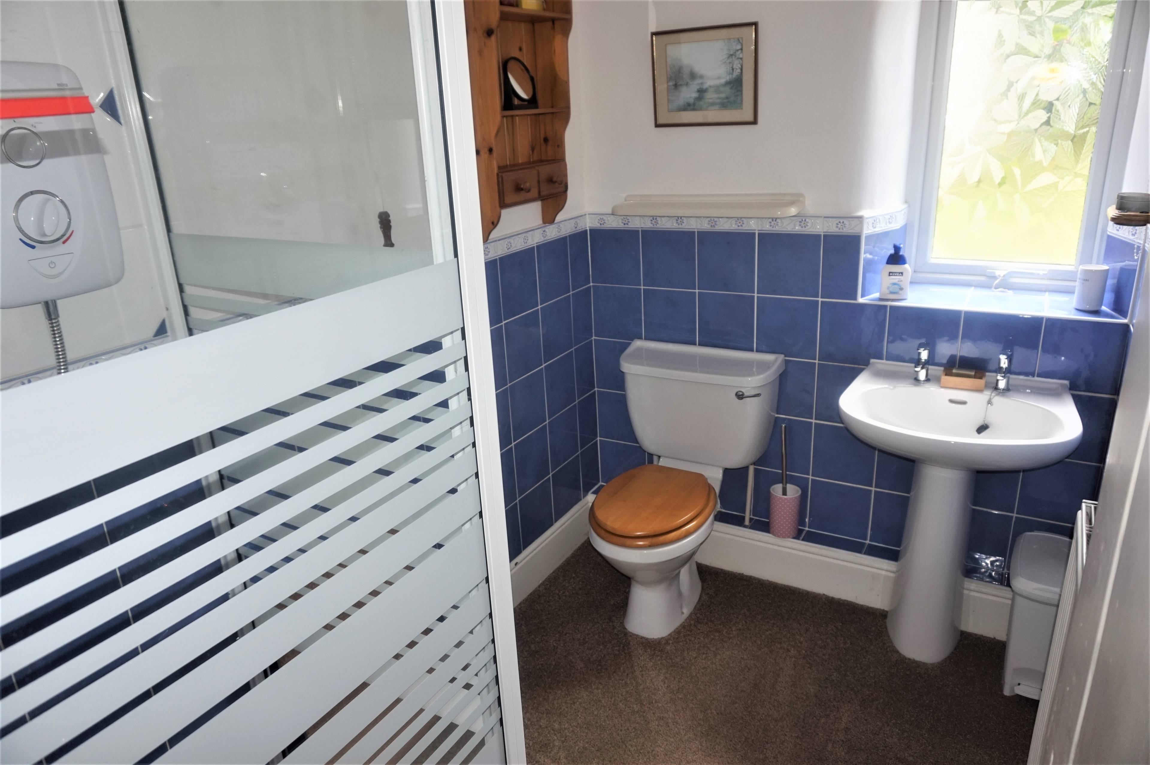 Annexe Shower Room