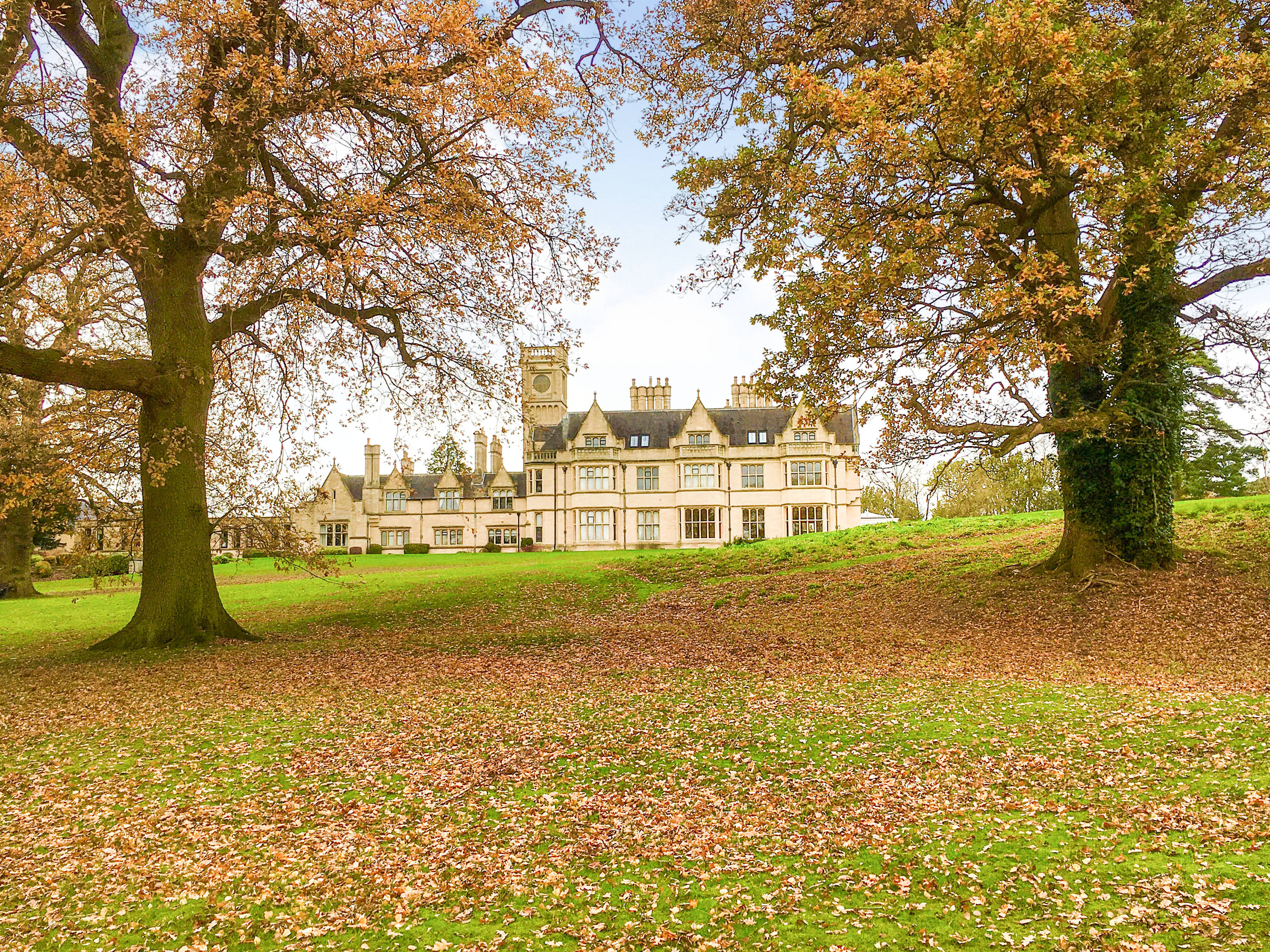 View Of The Property