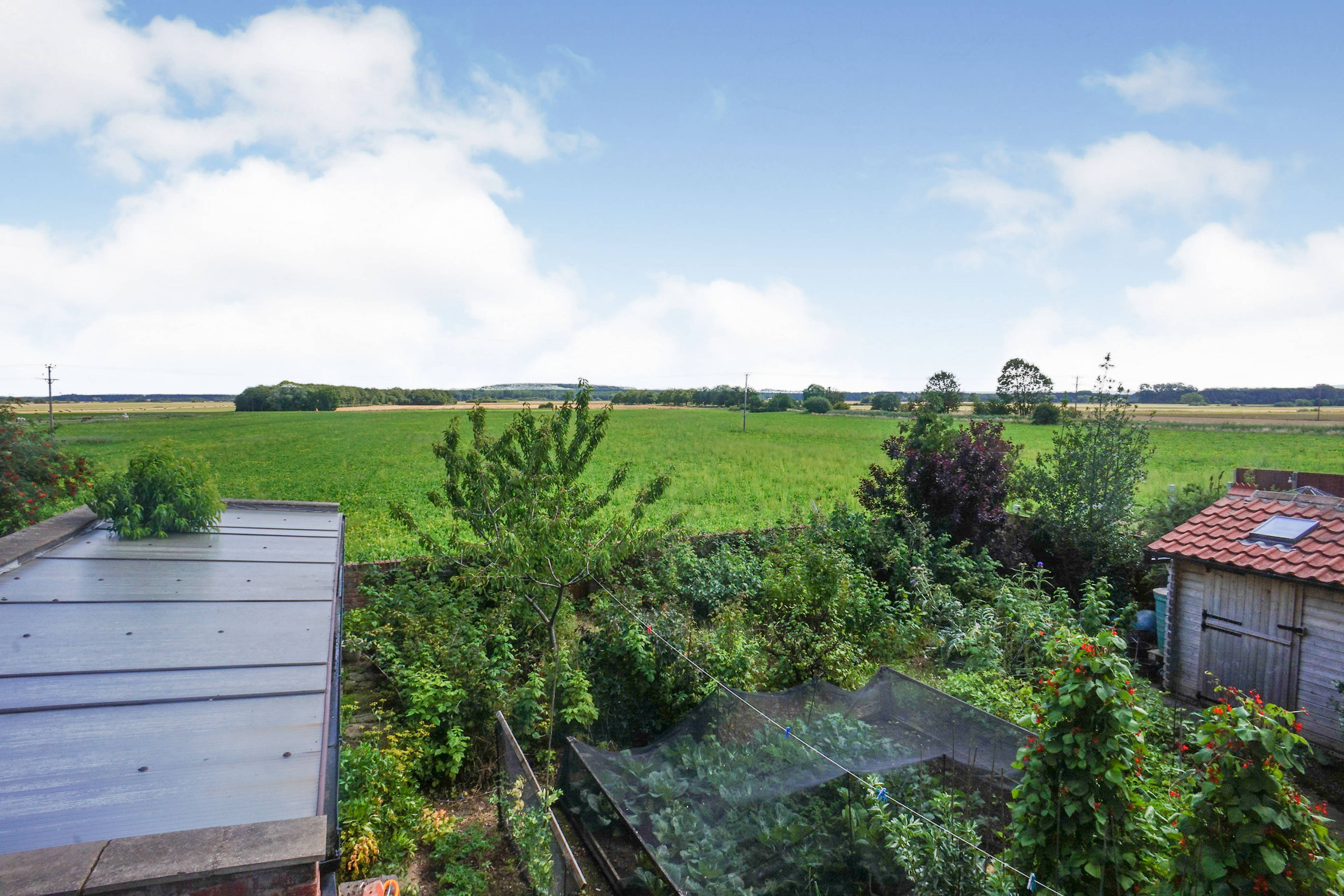 Rear View
