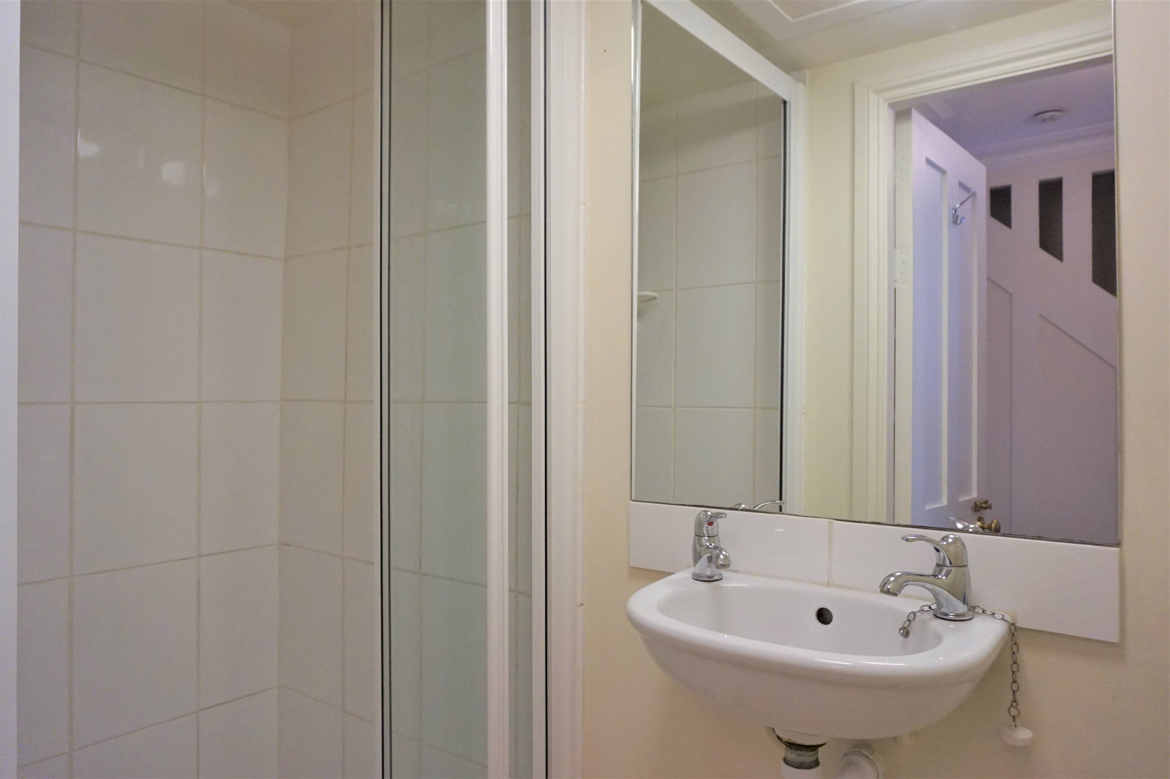 Downstairs Shower