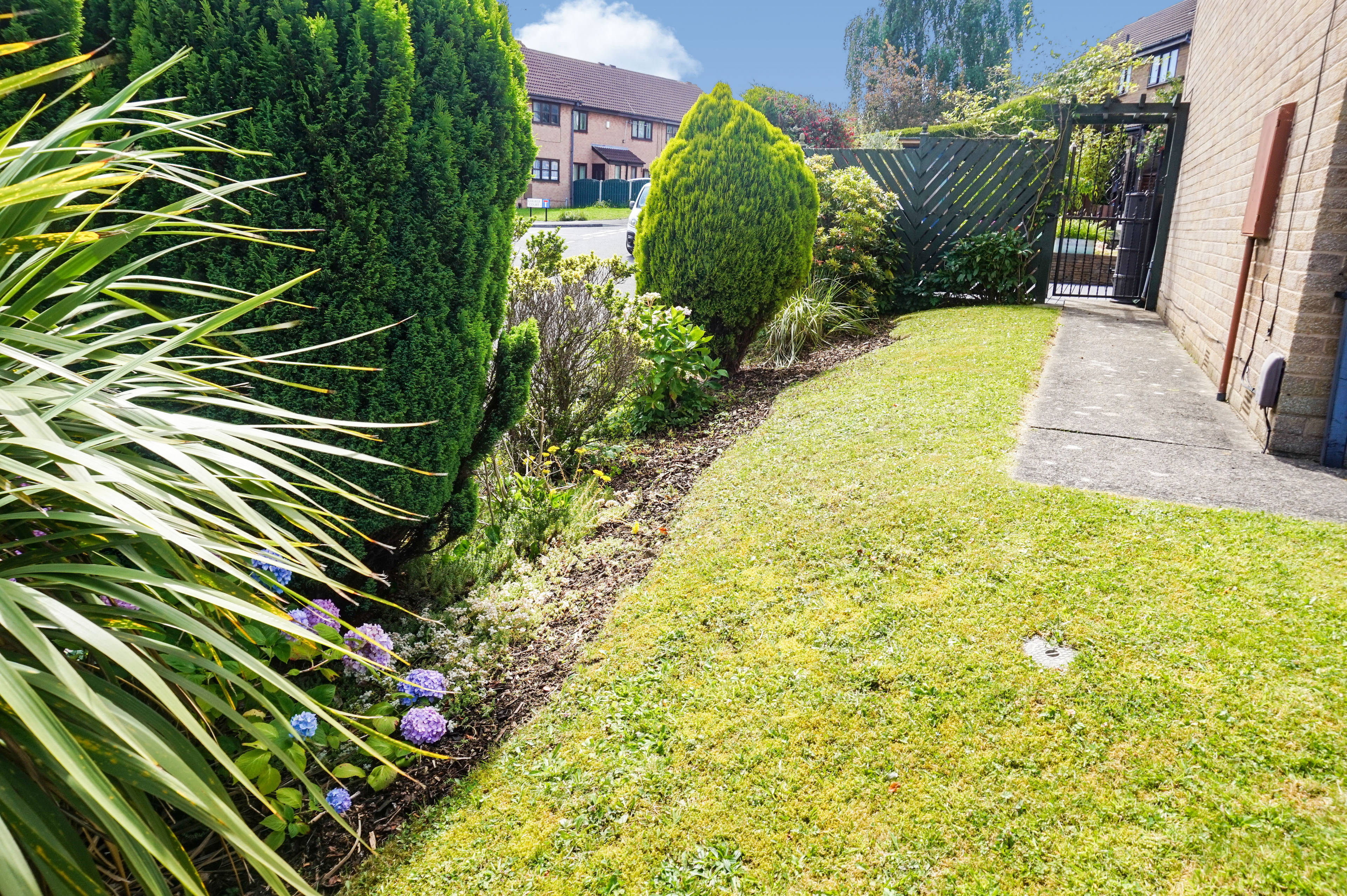 Side Garden