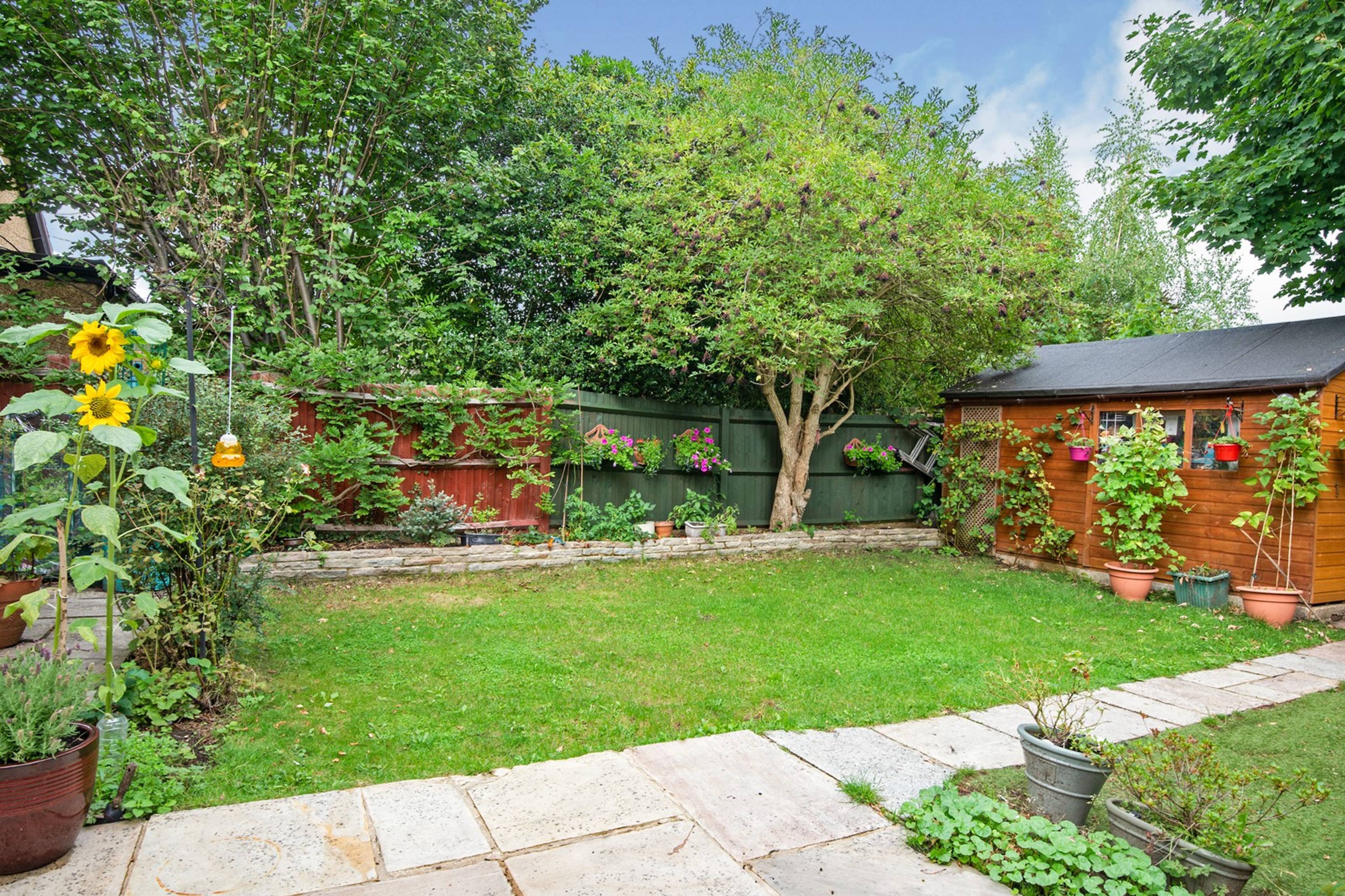 Garden