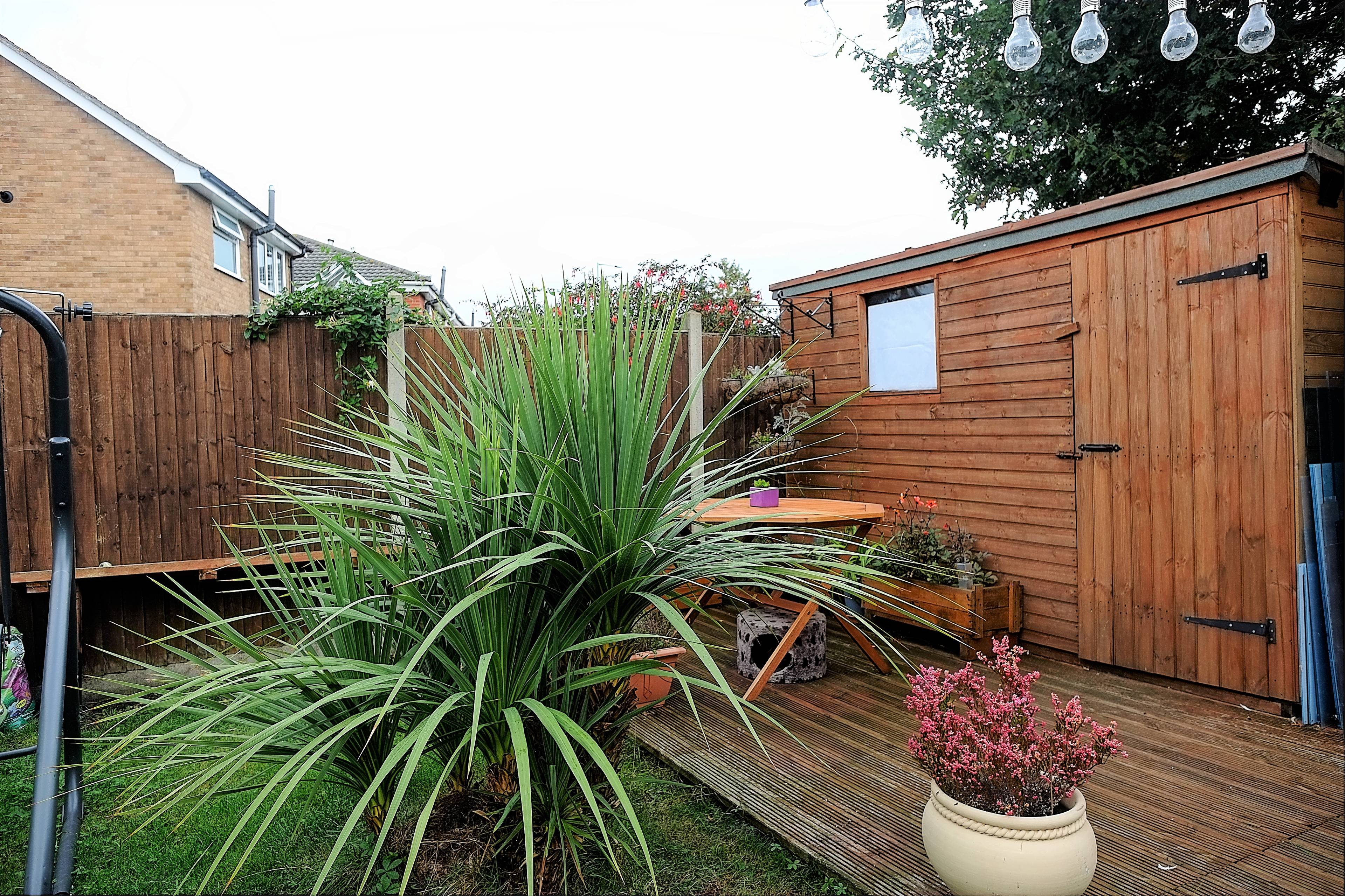 Shed