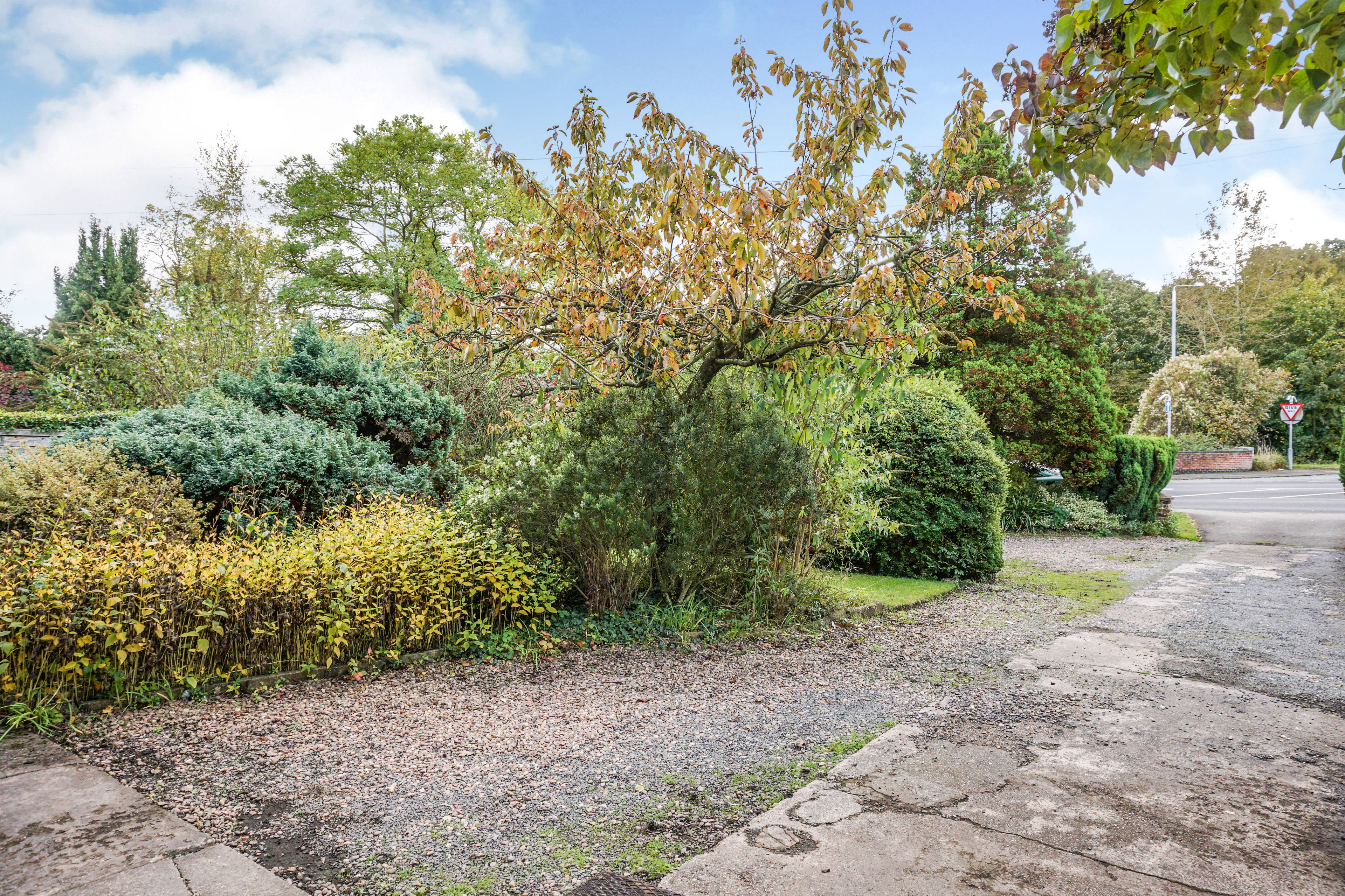 Front Garden