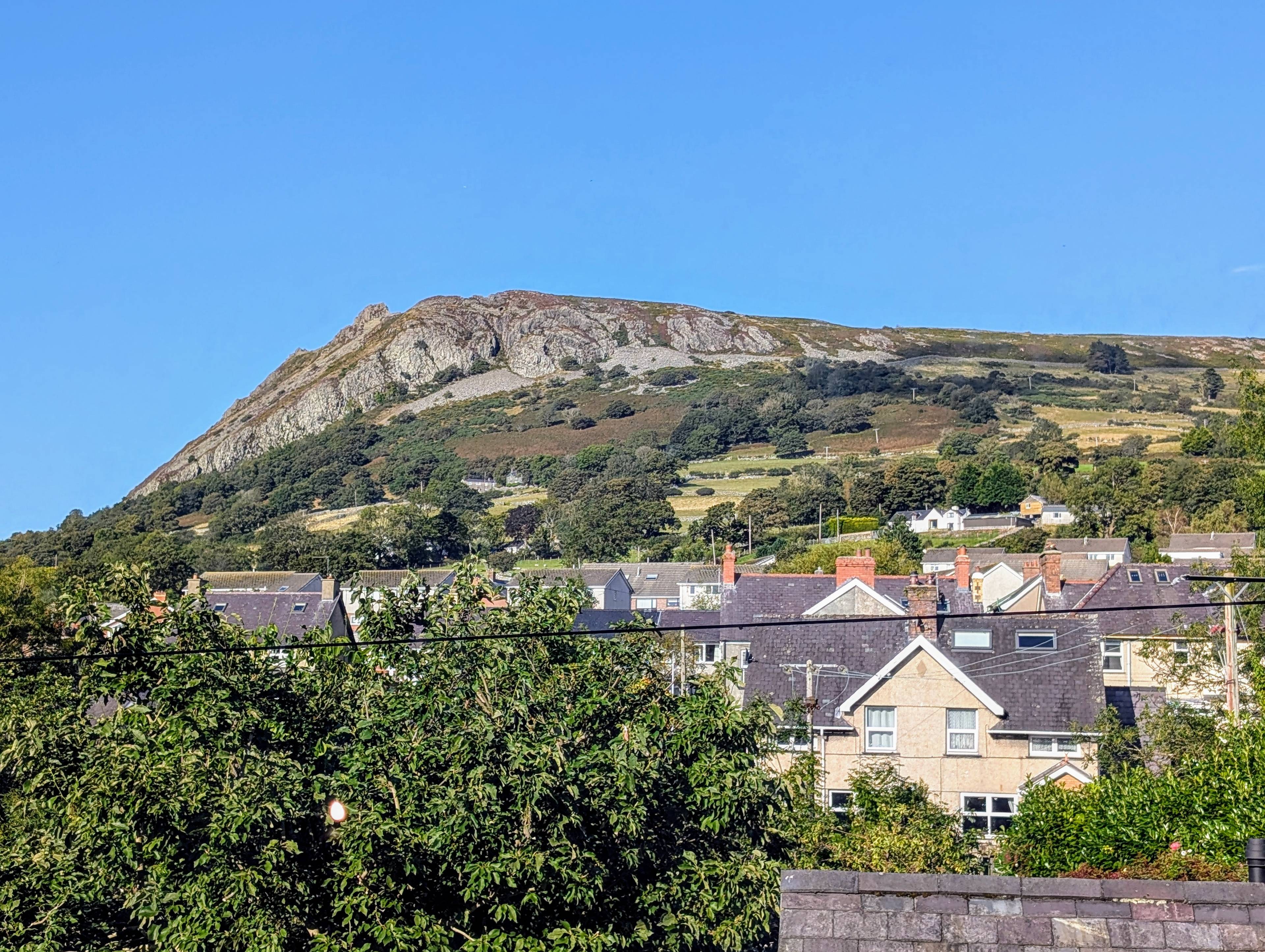 View