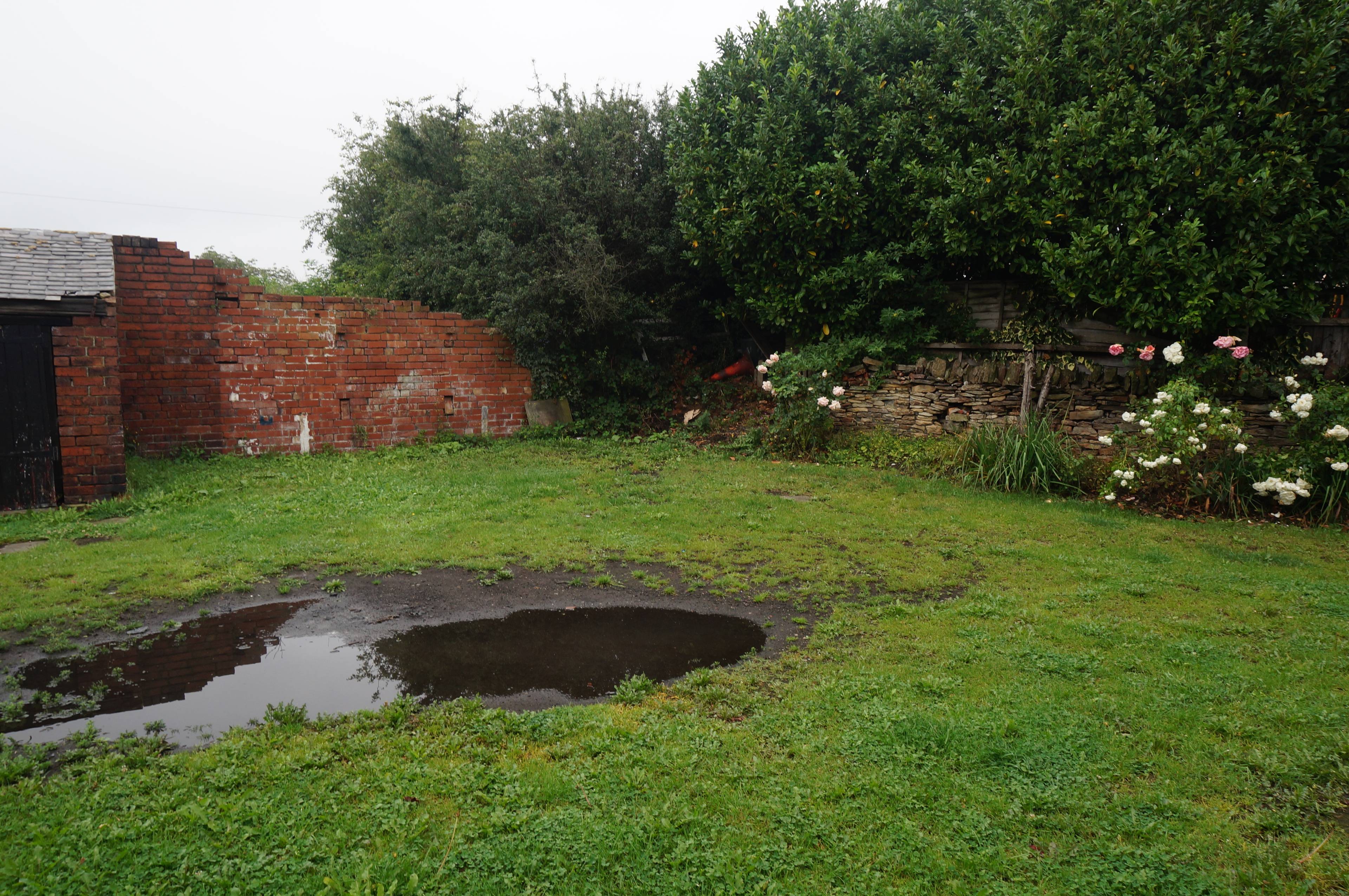 Communal Courtyard