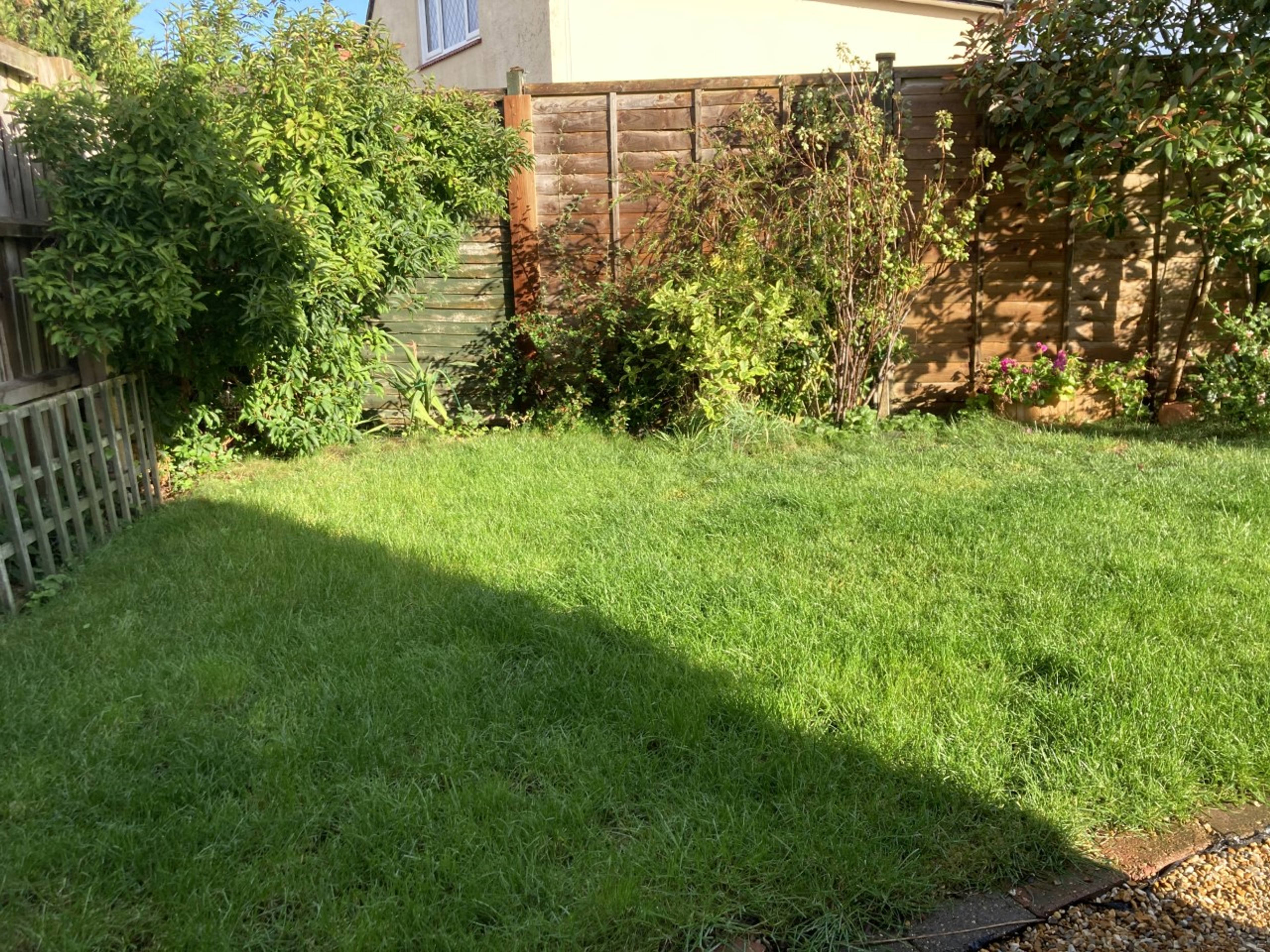 Side Garden