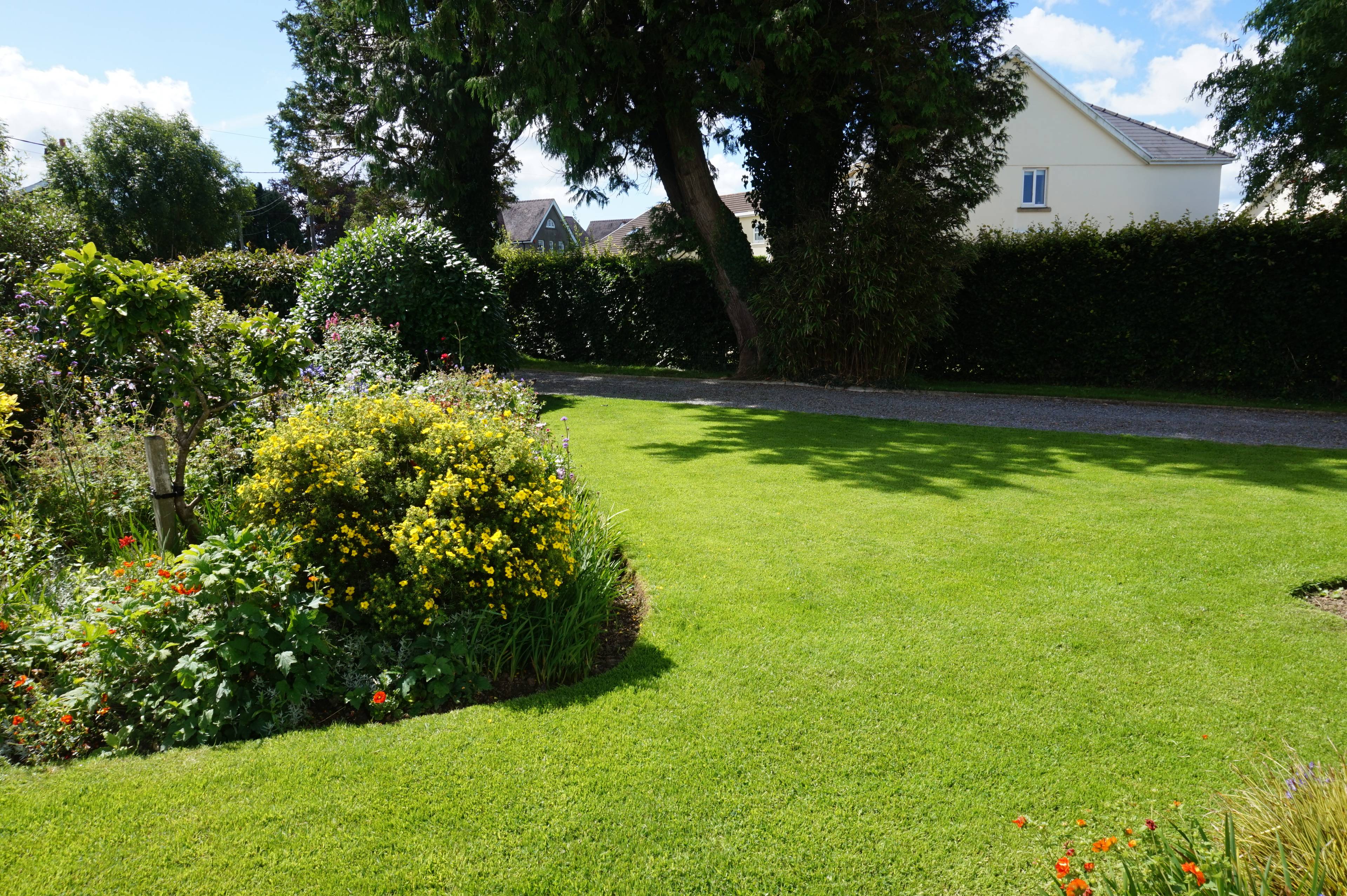Front Garden