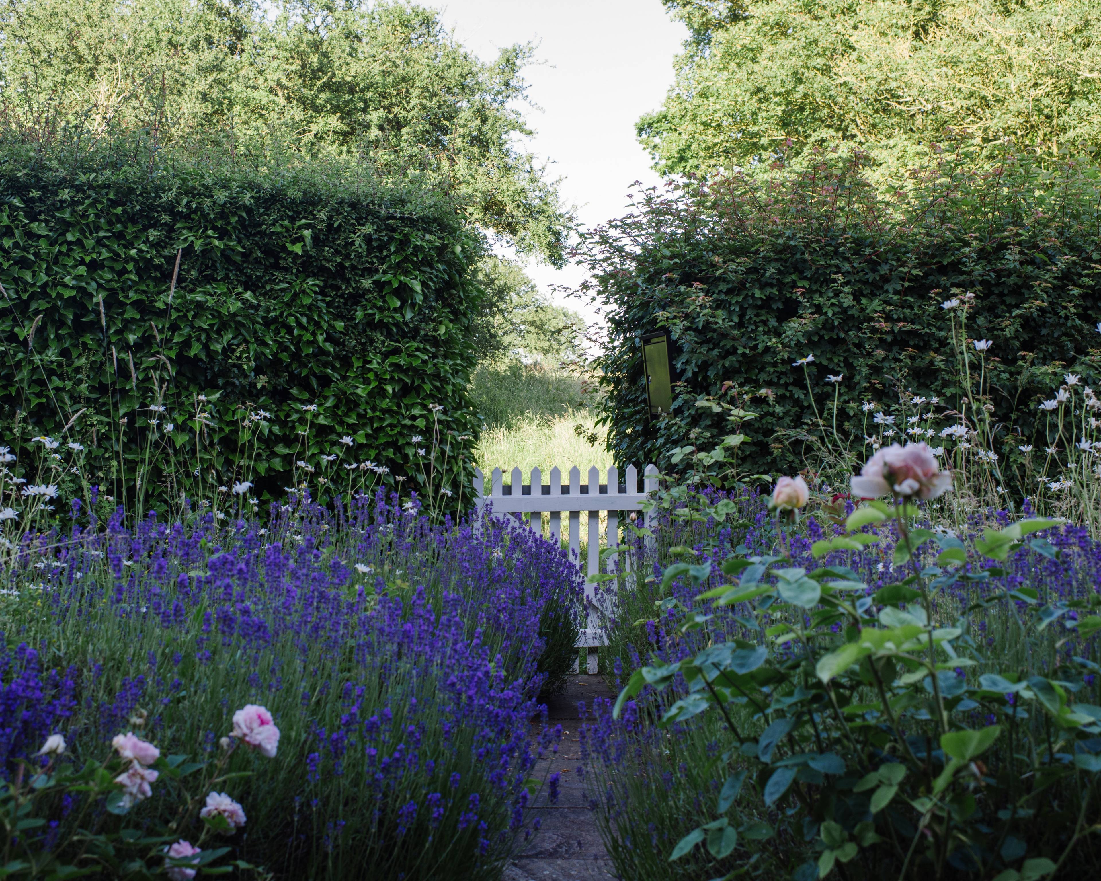 Front Garden