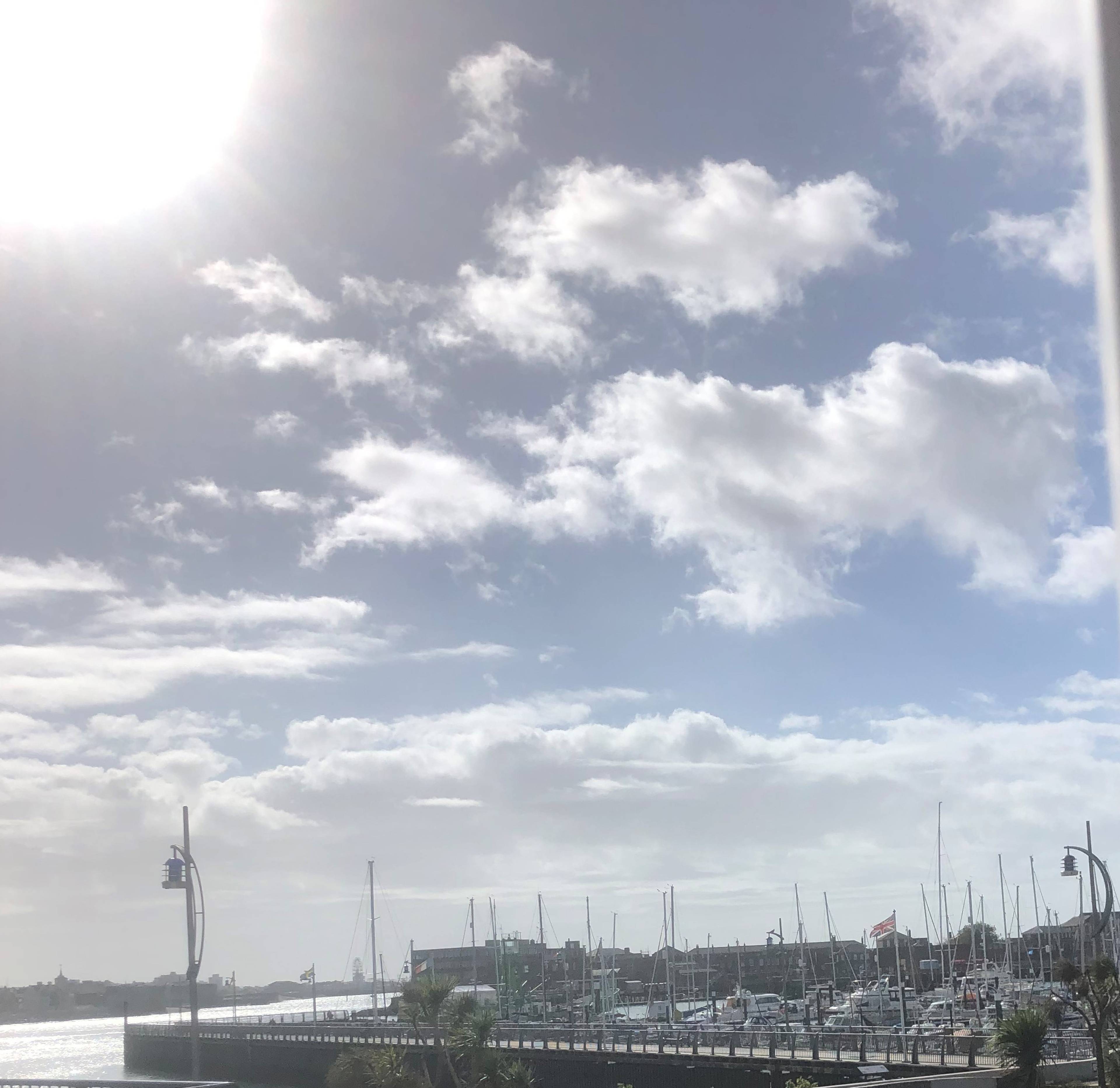 view