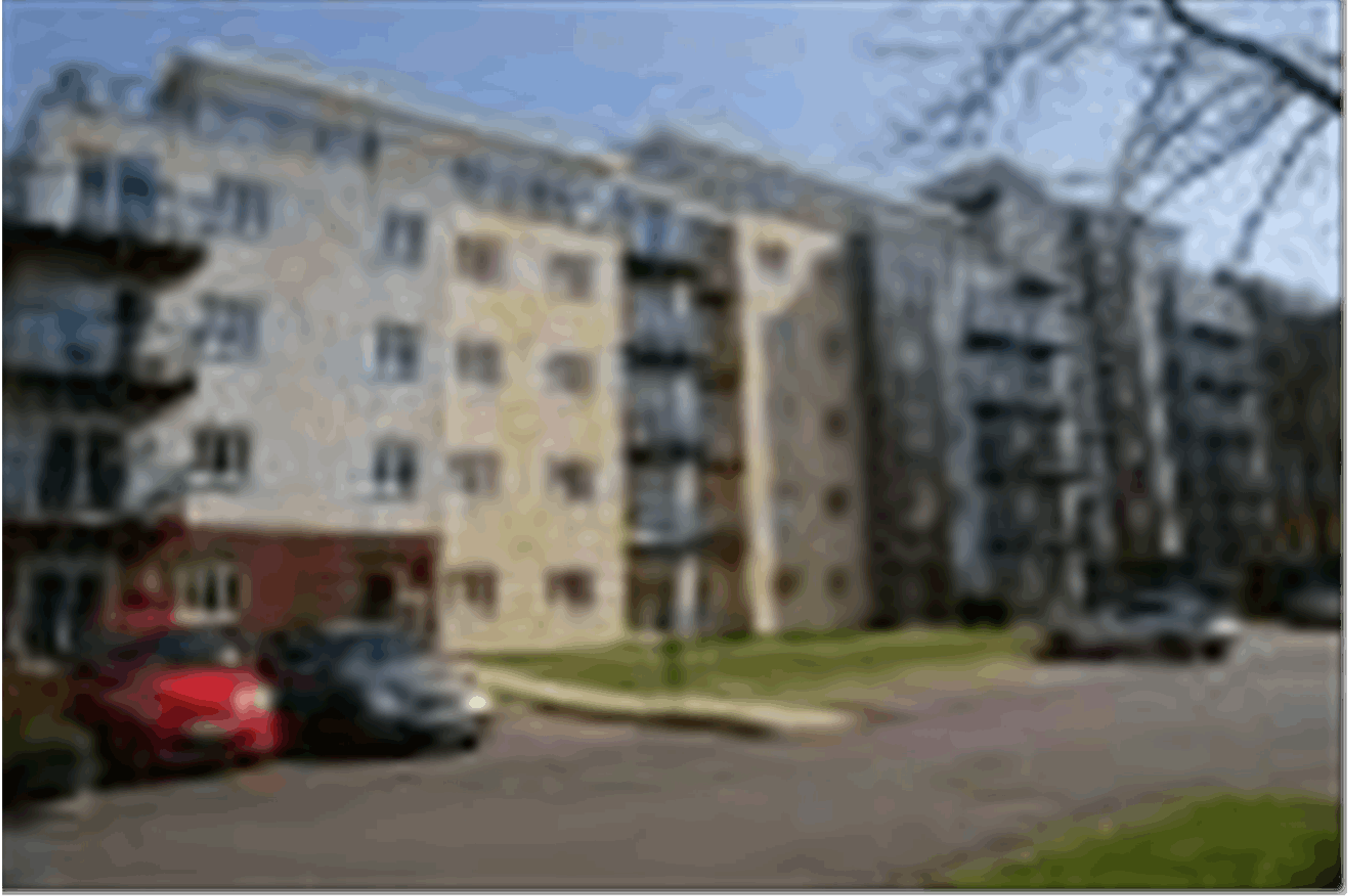 The Property