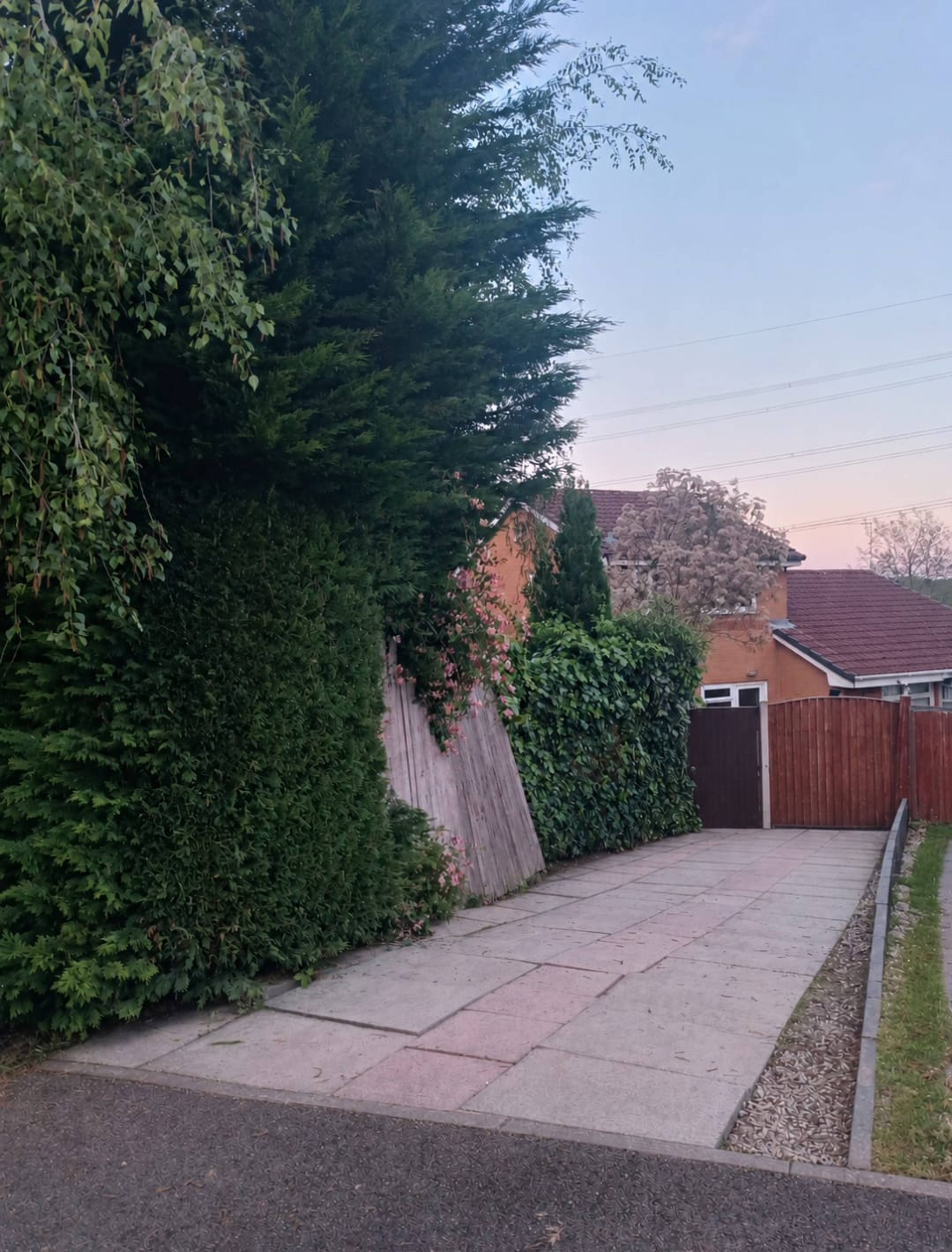 Driveway