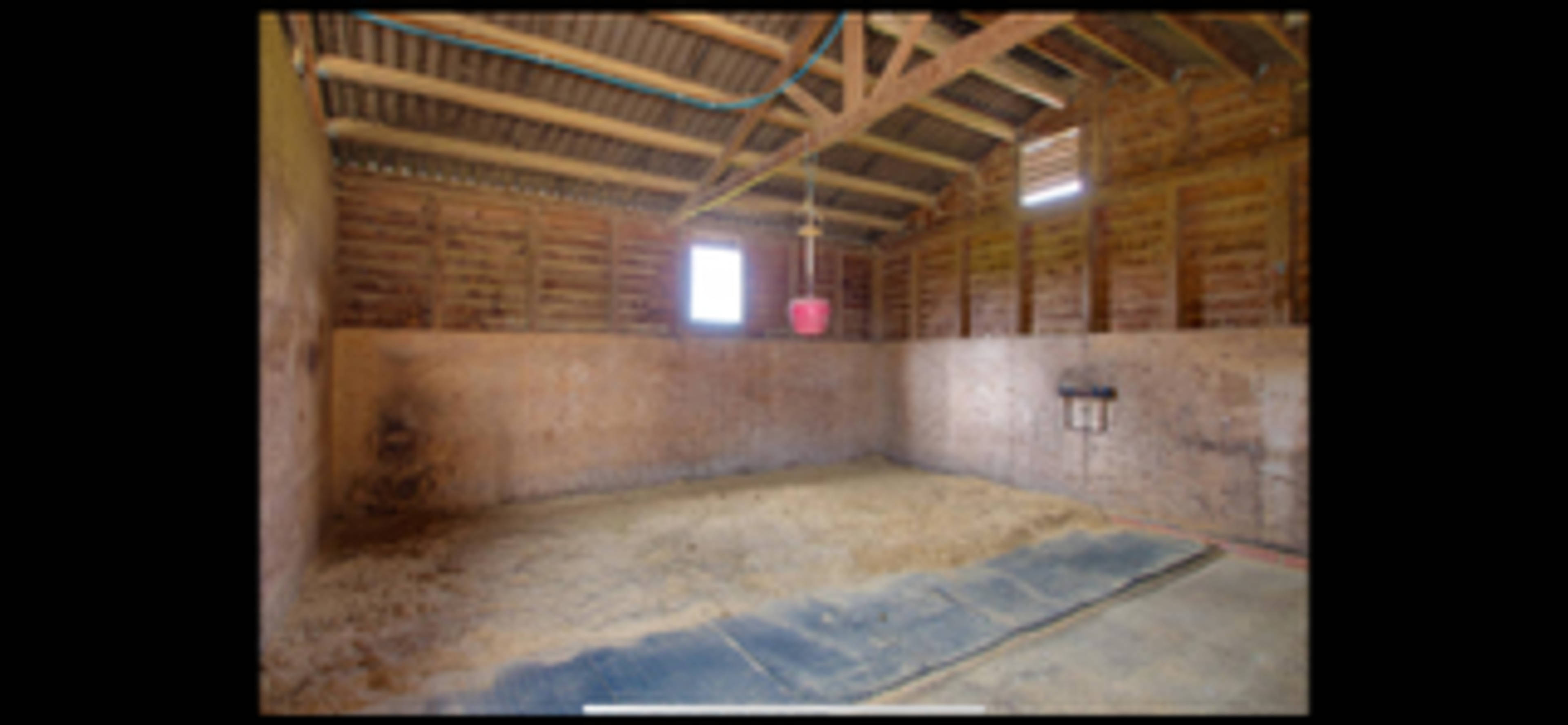 Stables
