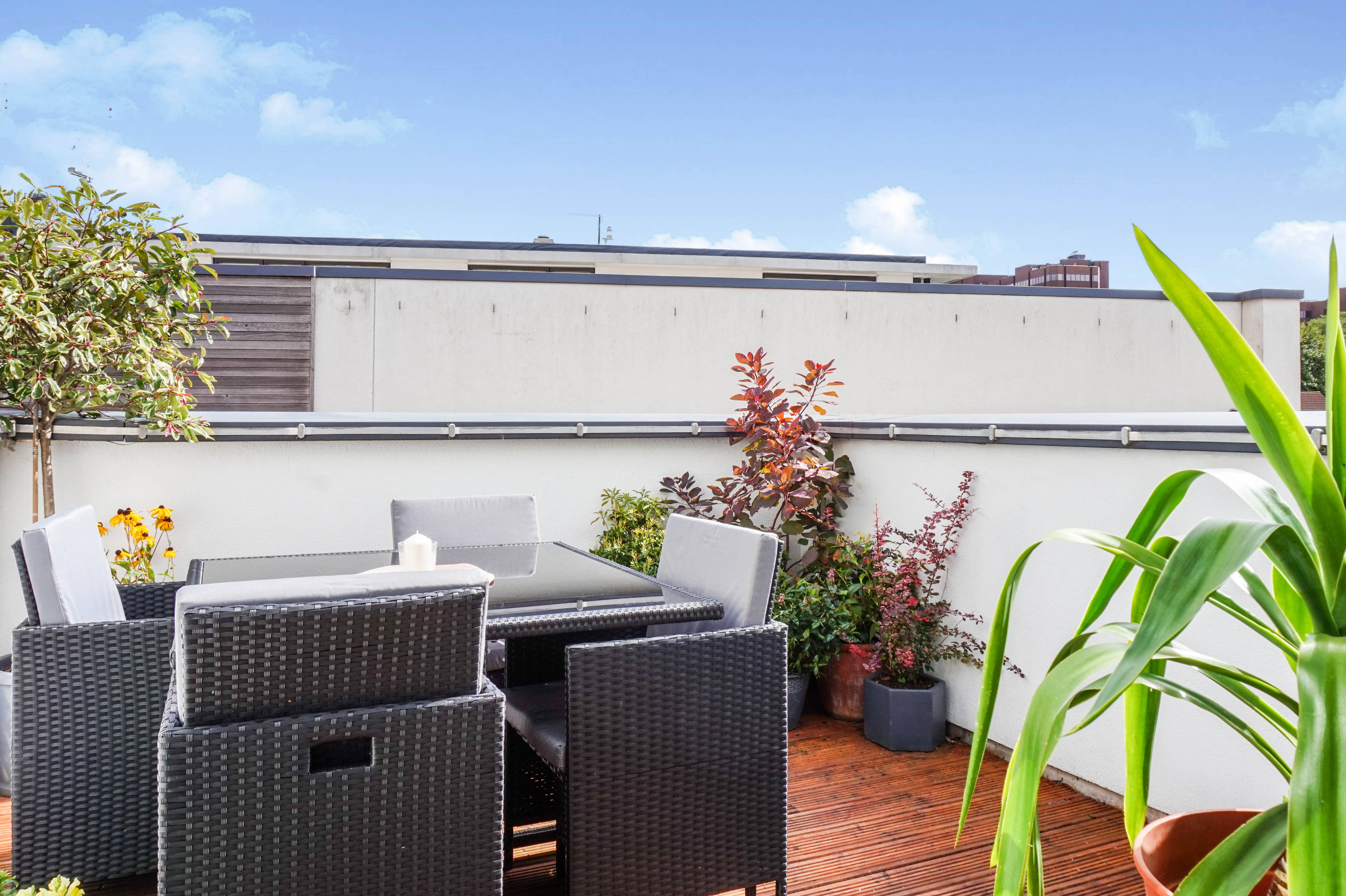 Roof Terrace