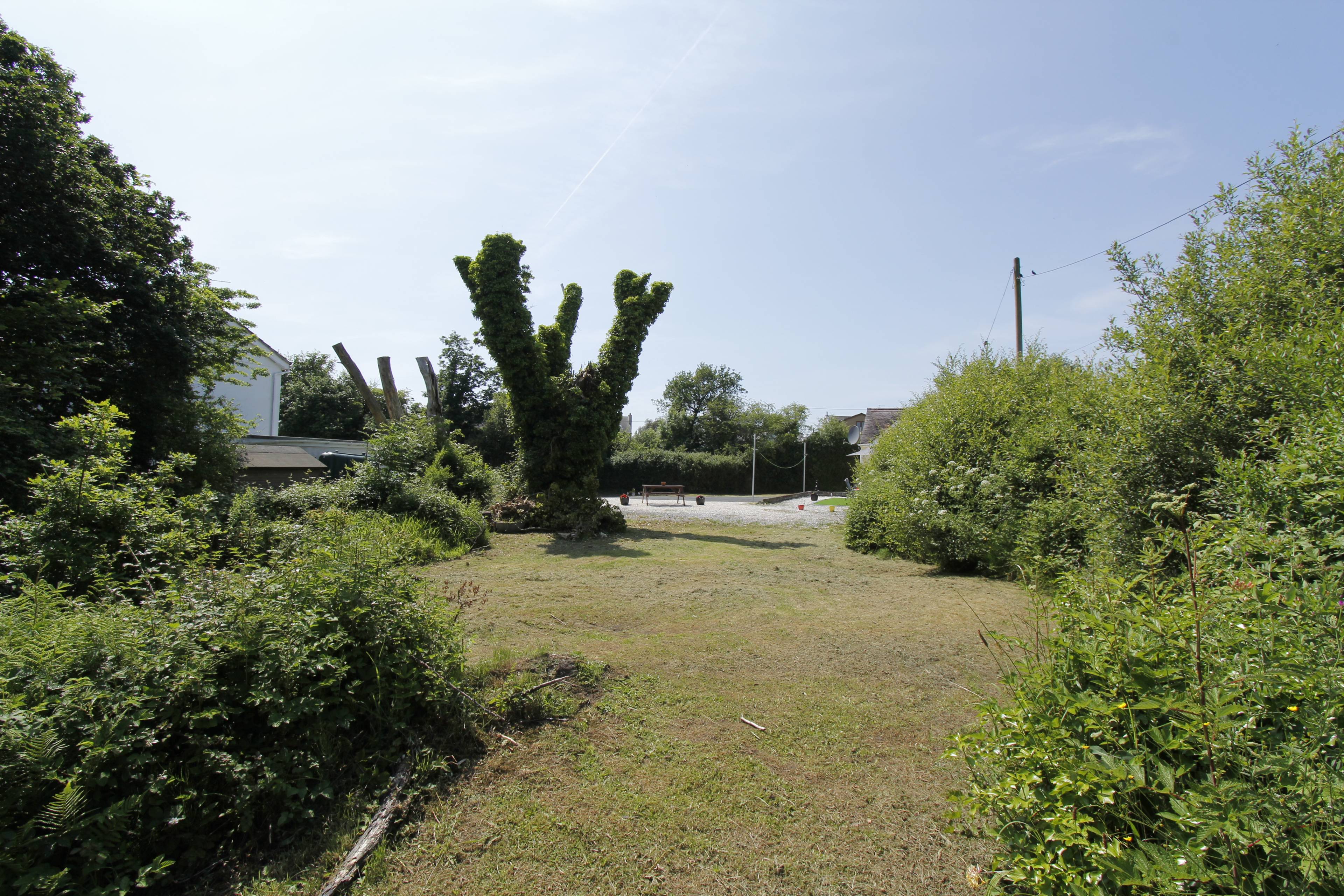 garden