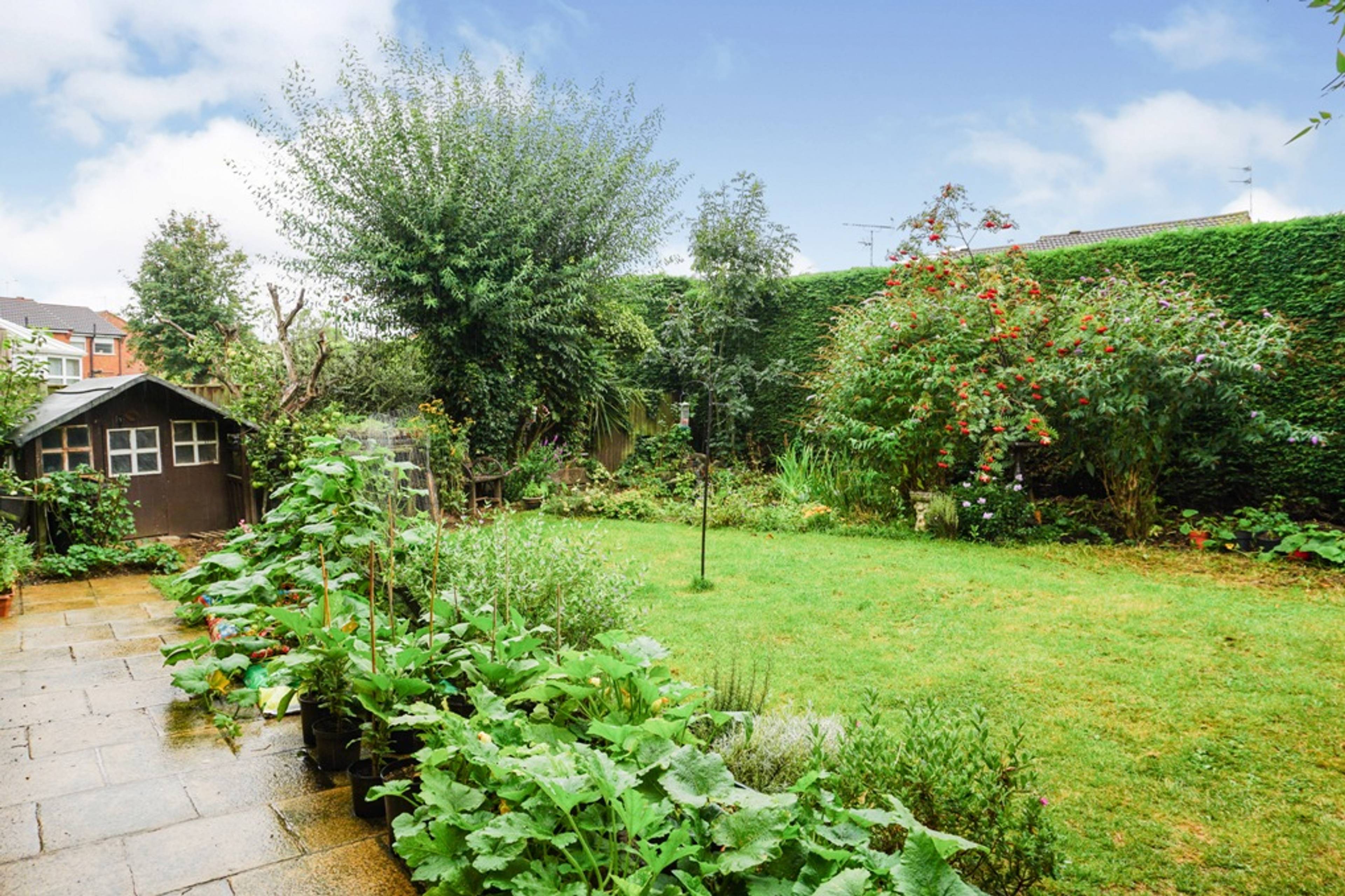 Garden