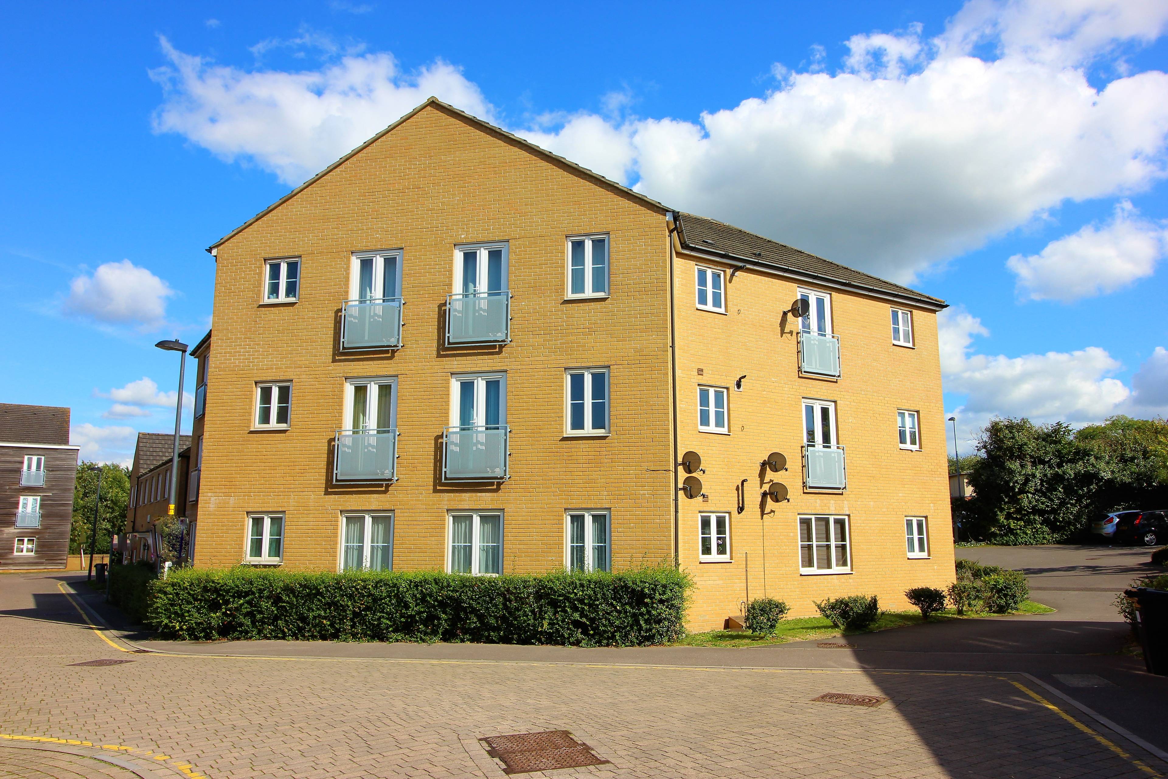 The Property