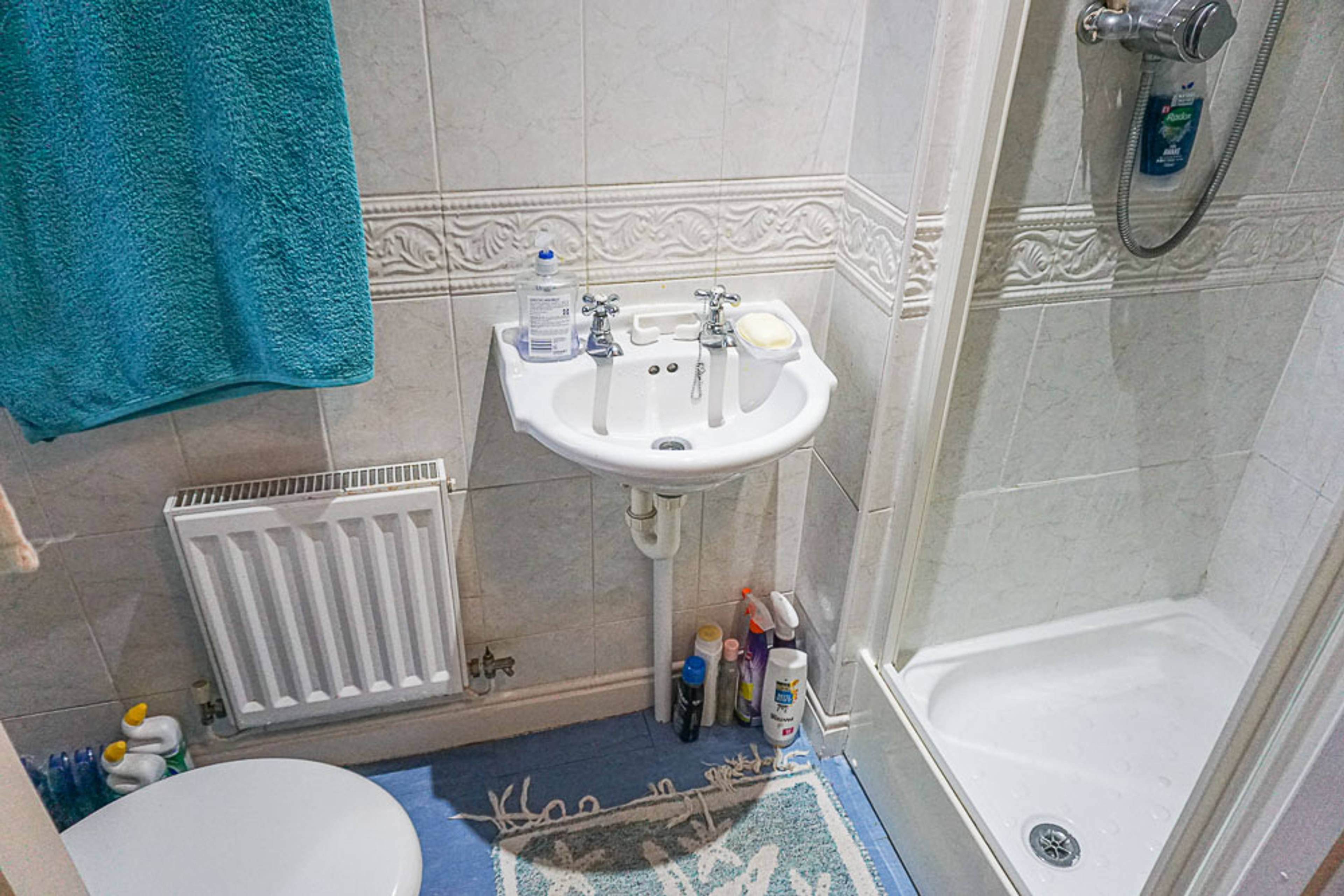 Downstairs Shower