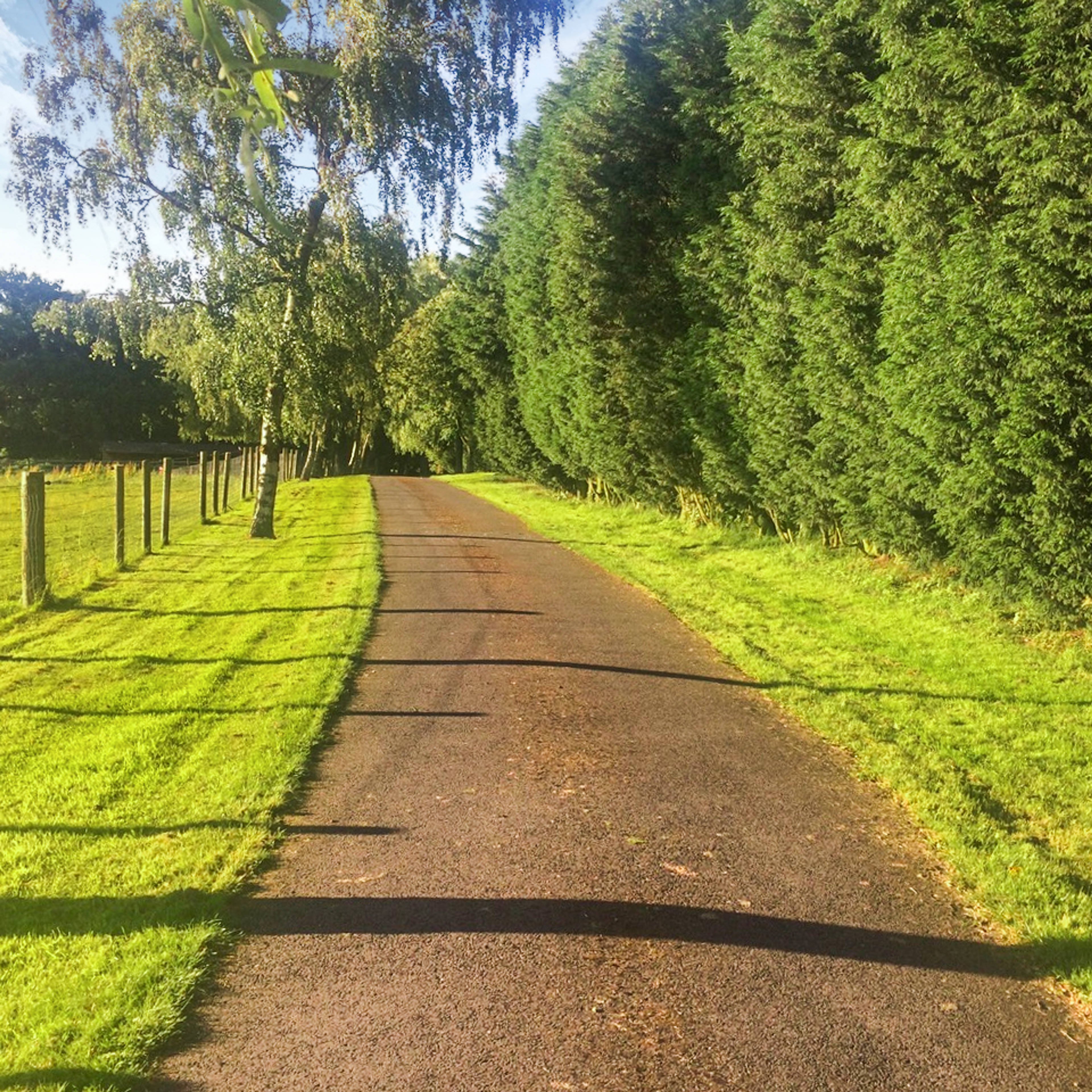 Gated Driveway