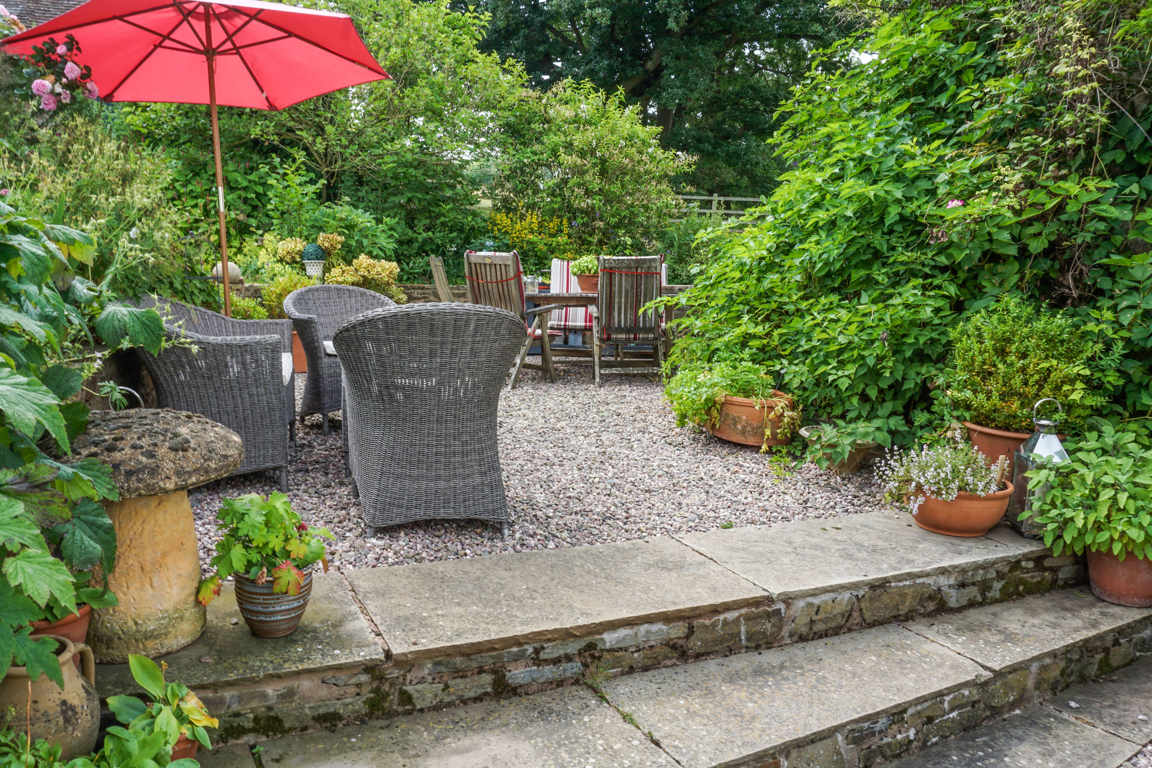 Sun Terrace