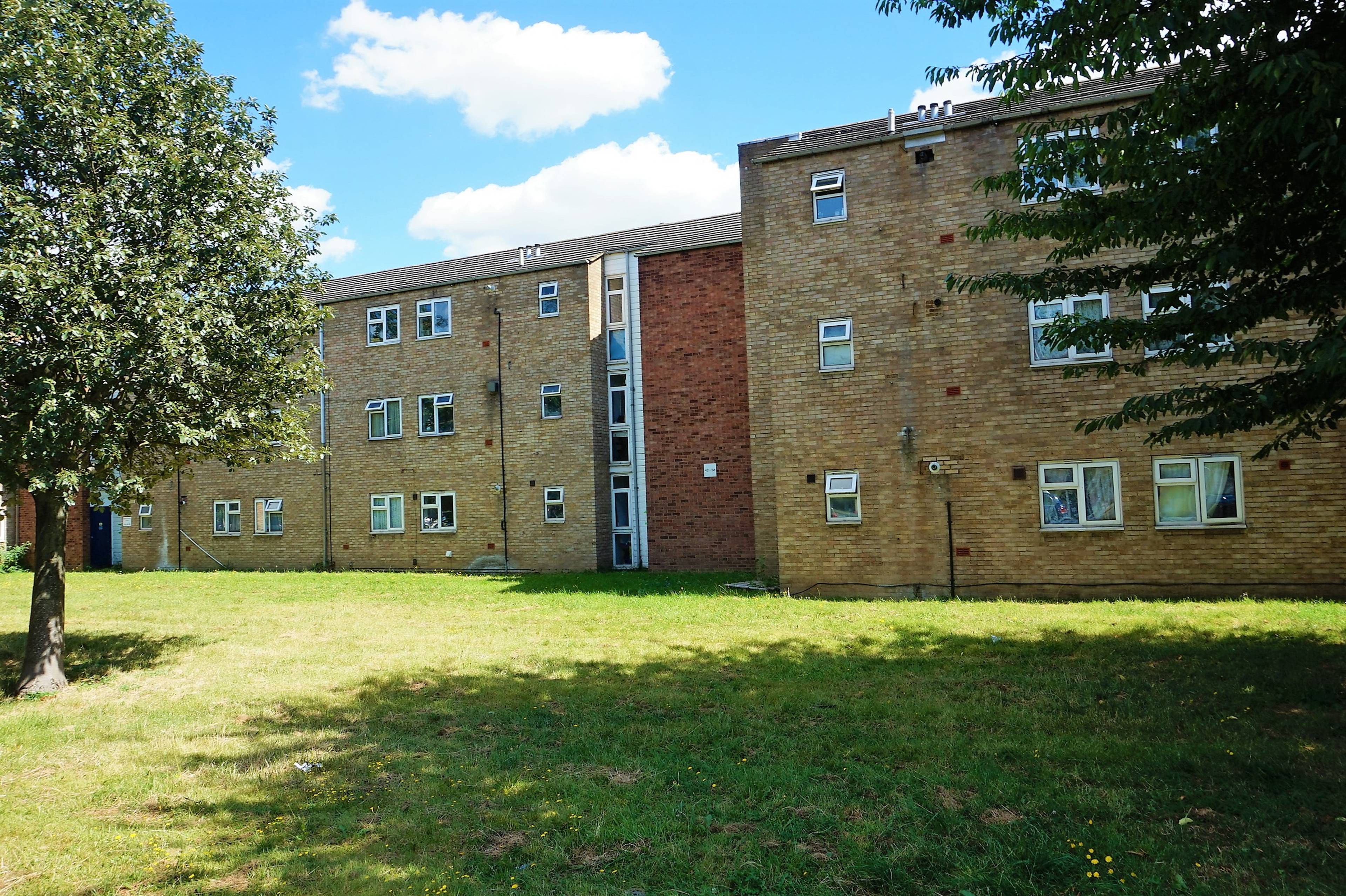 The Property