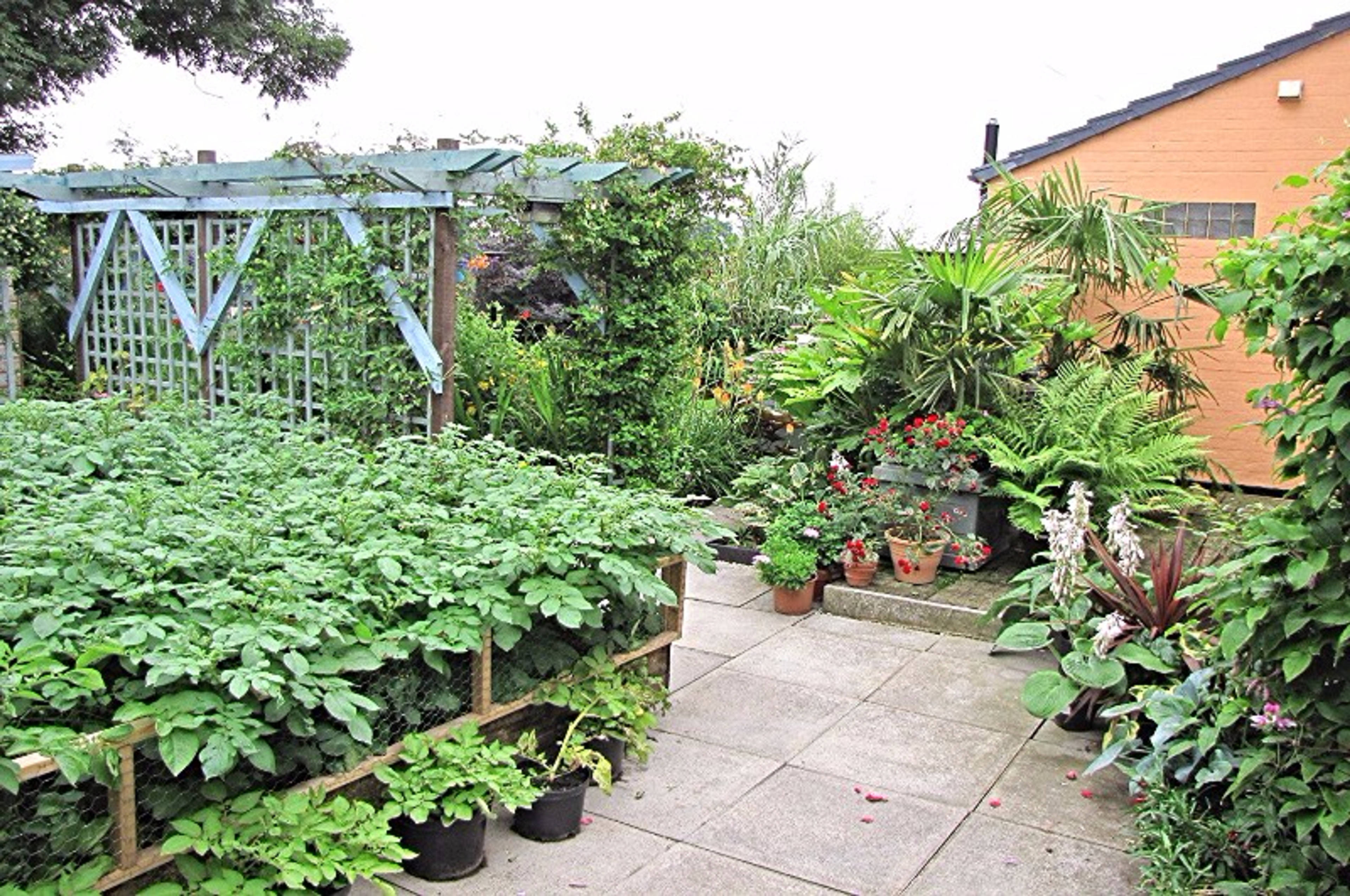 Large Garden