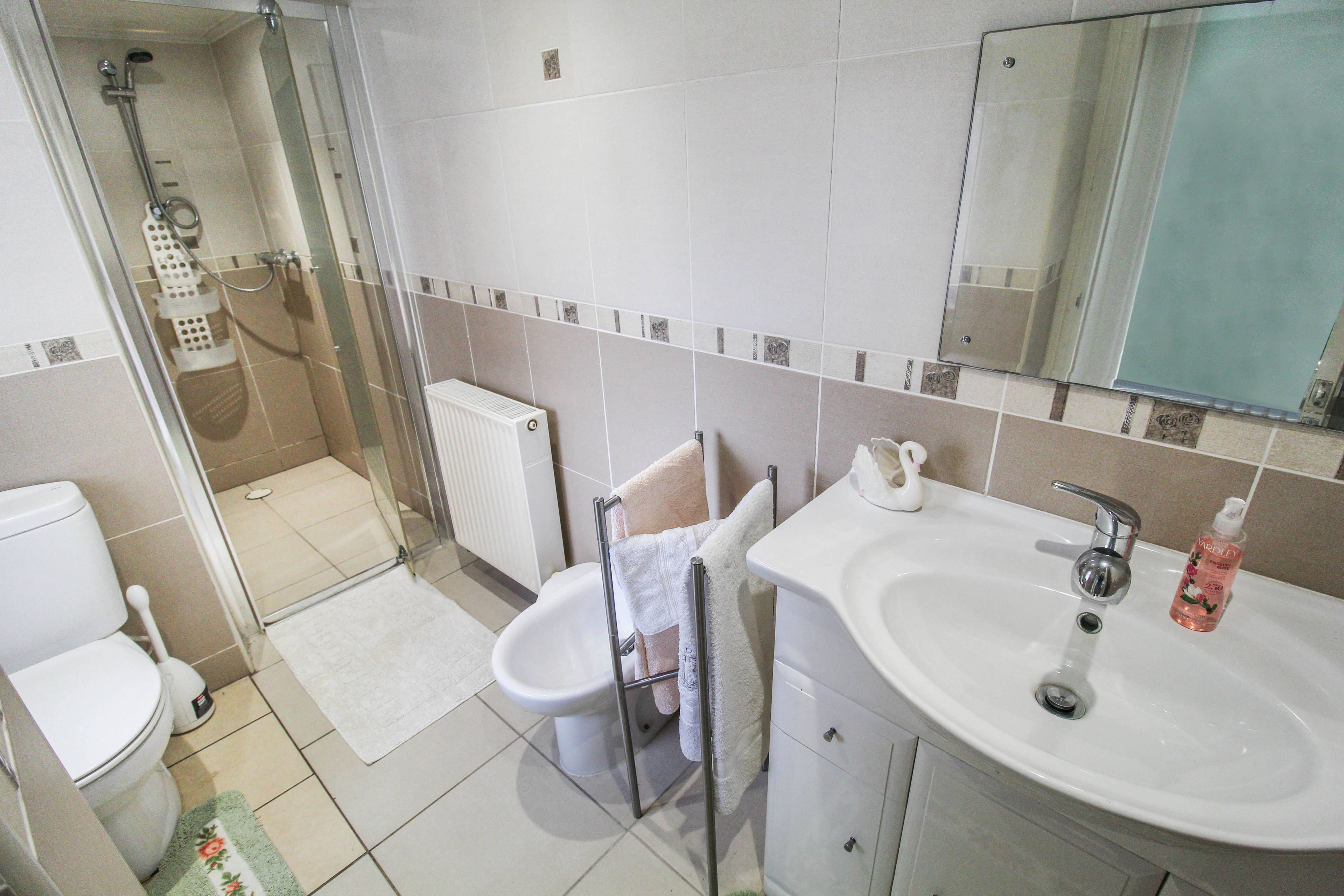 Downstairs Shower