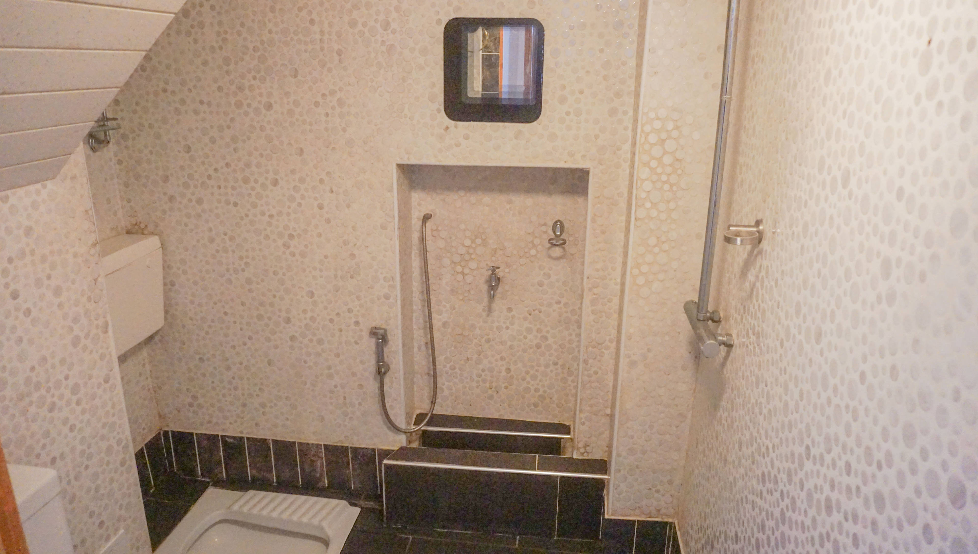 Downstairs Shower