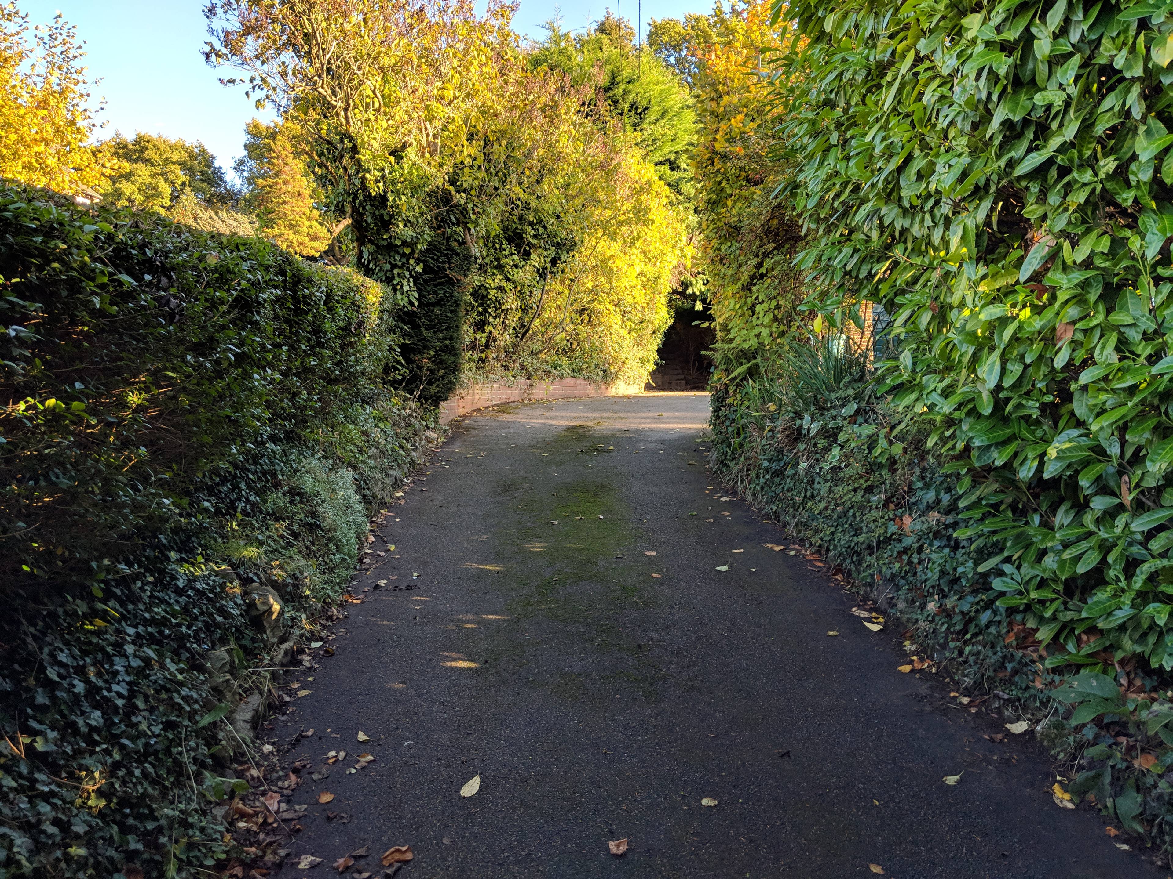 Gated Driveway