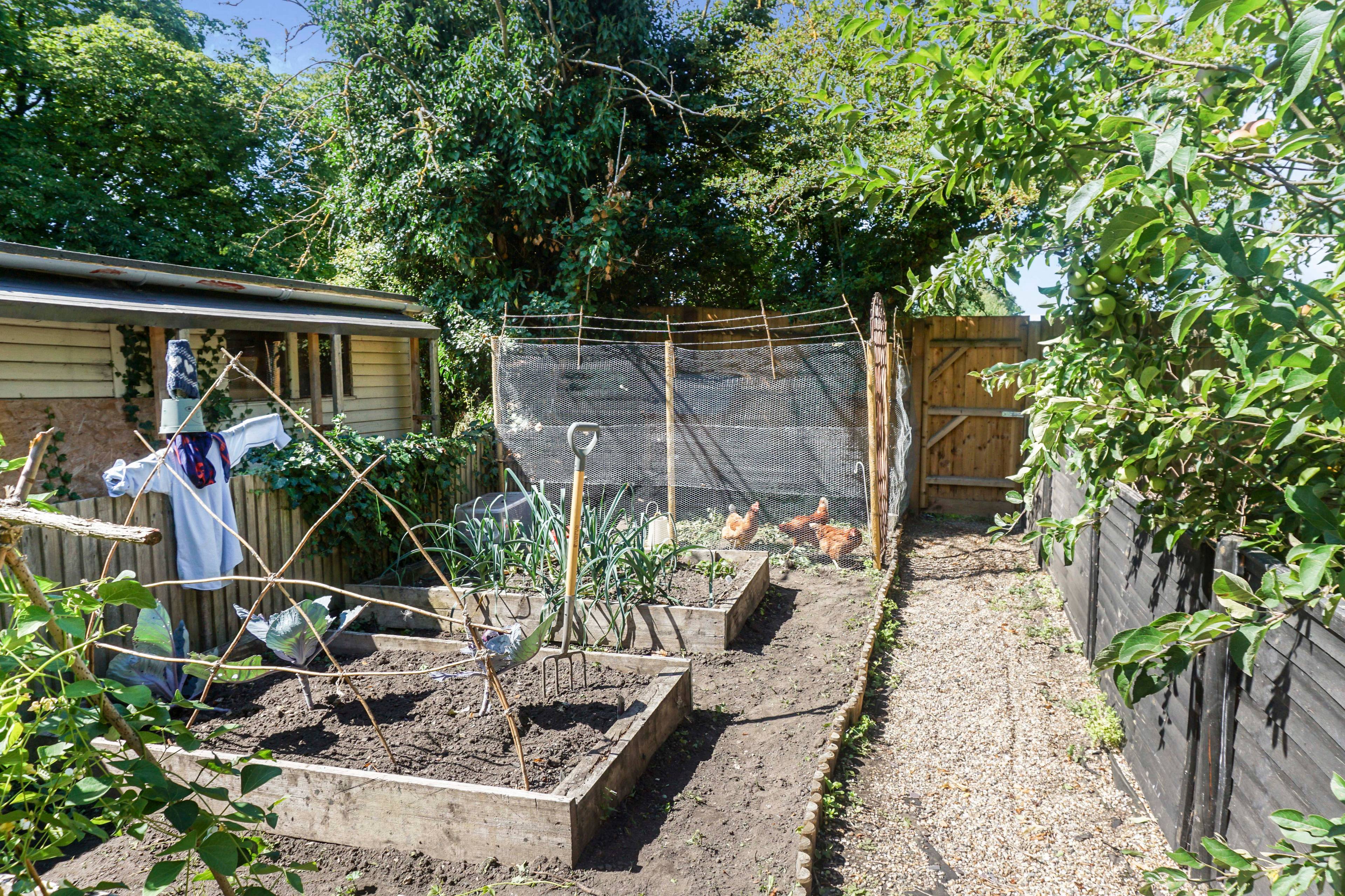 Garden