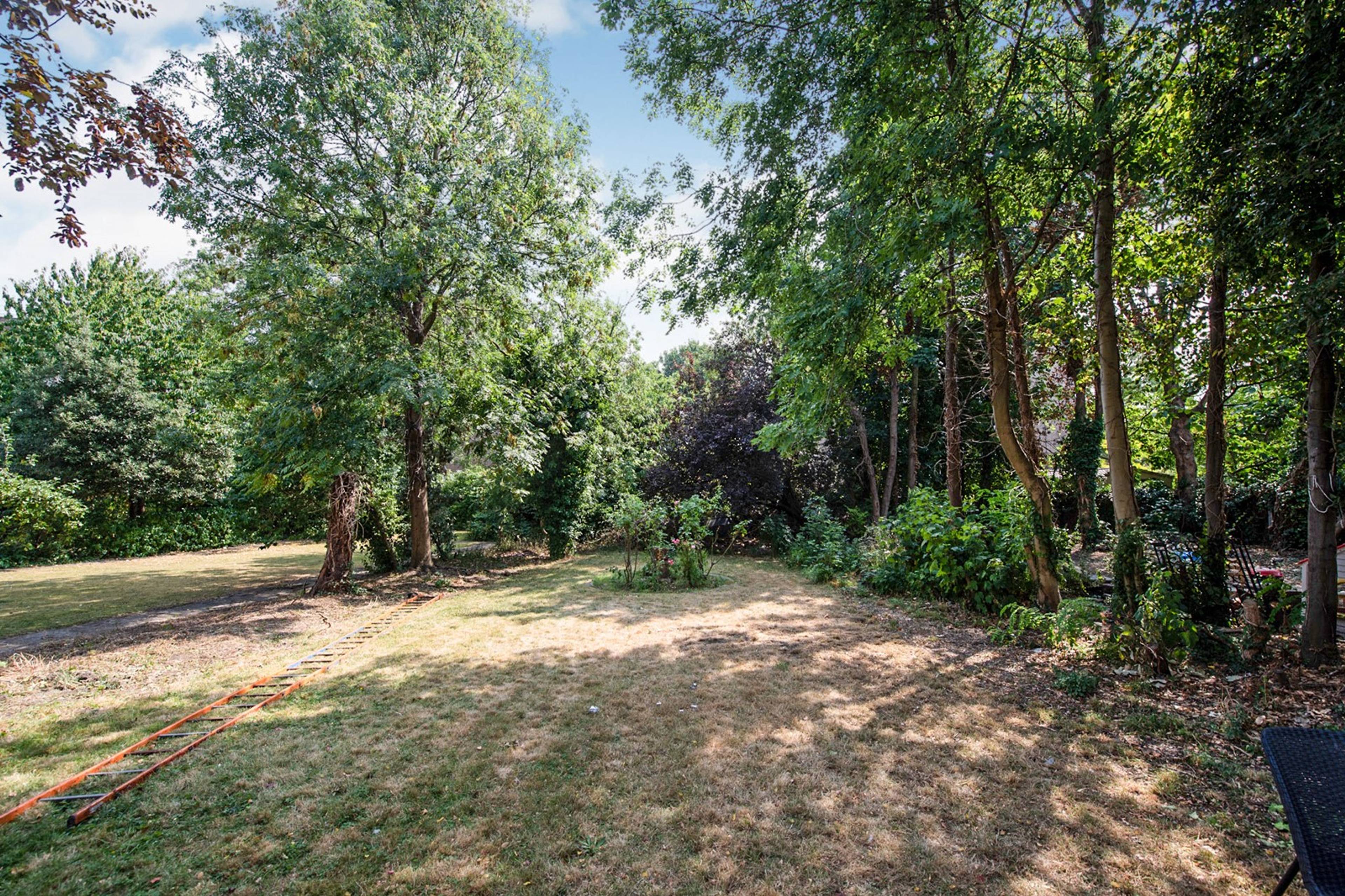 Communal Gardens