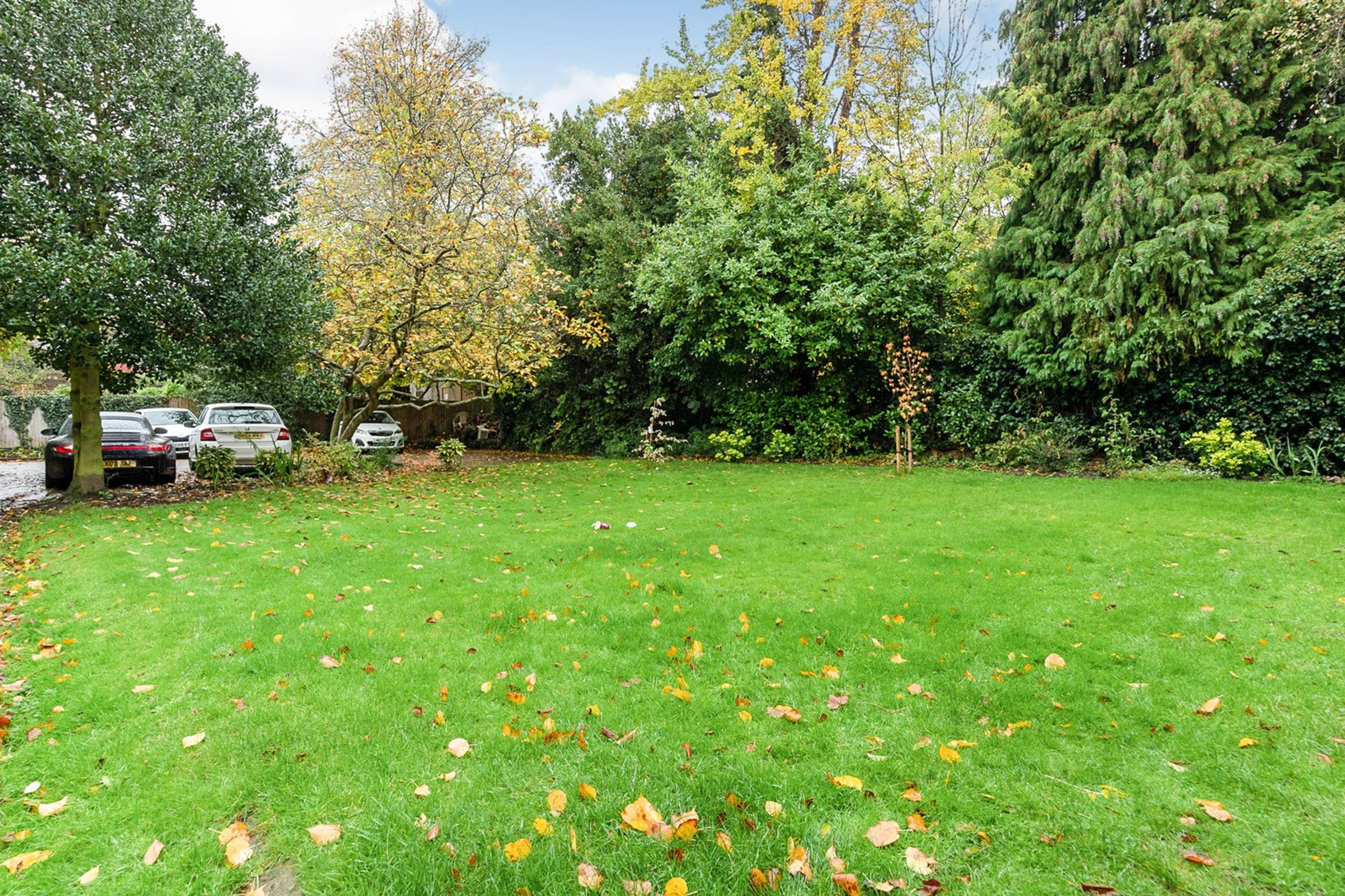 Communal Gardens