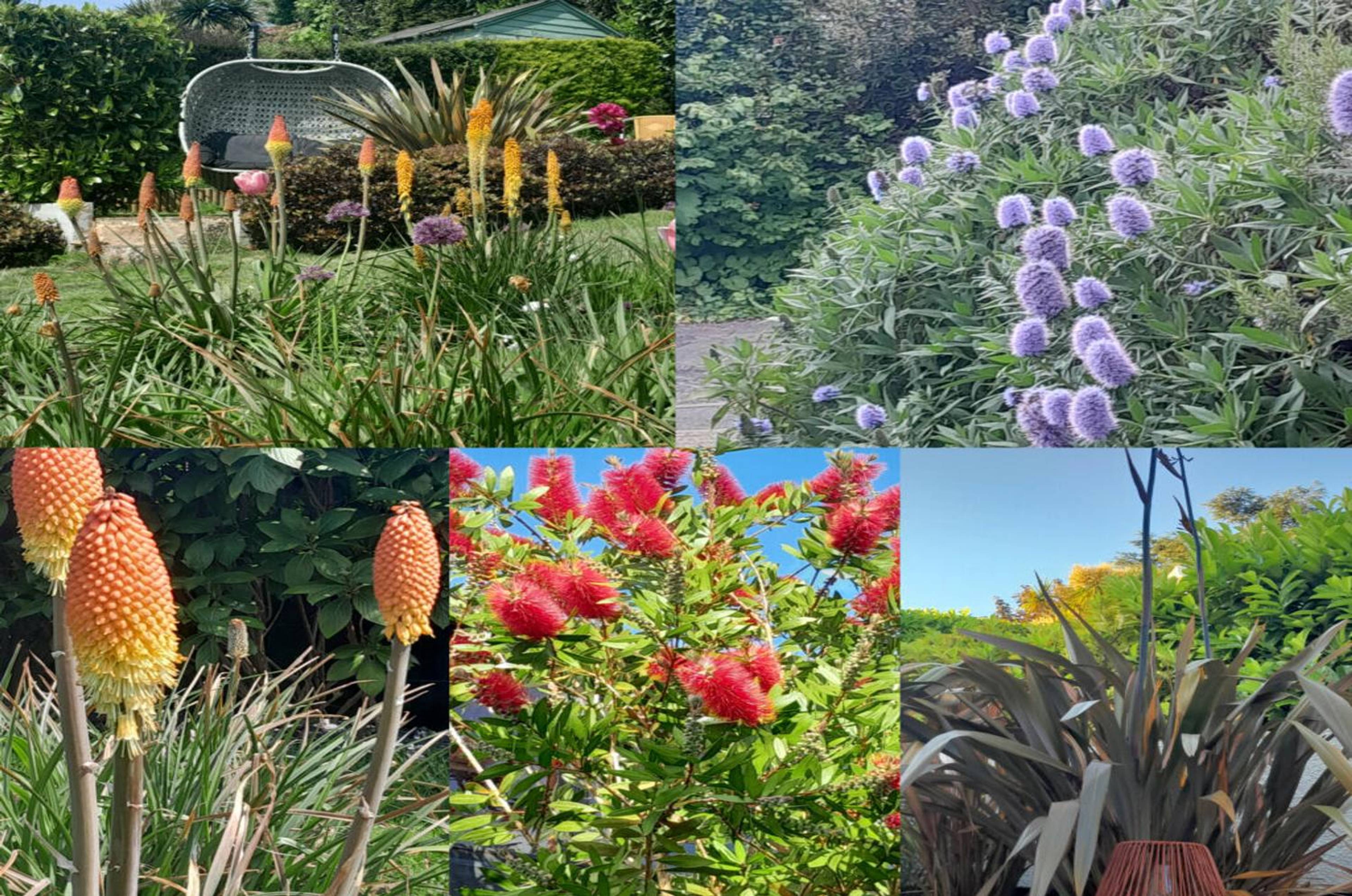 Gardens
