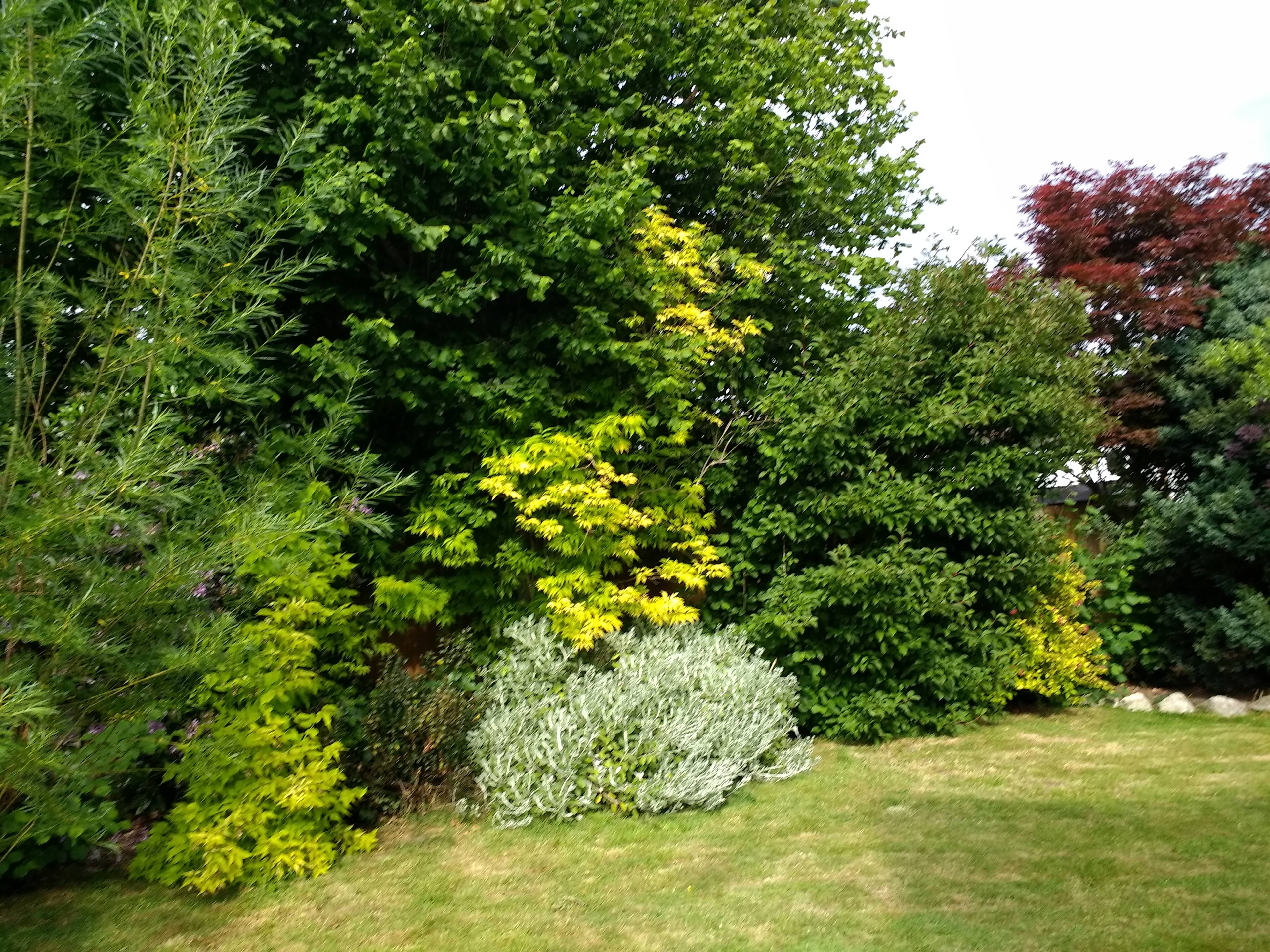 Landscaped  Gardens