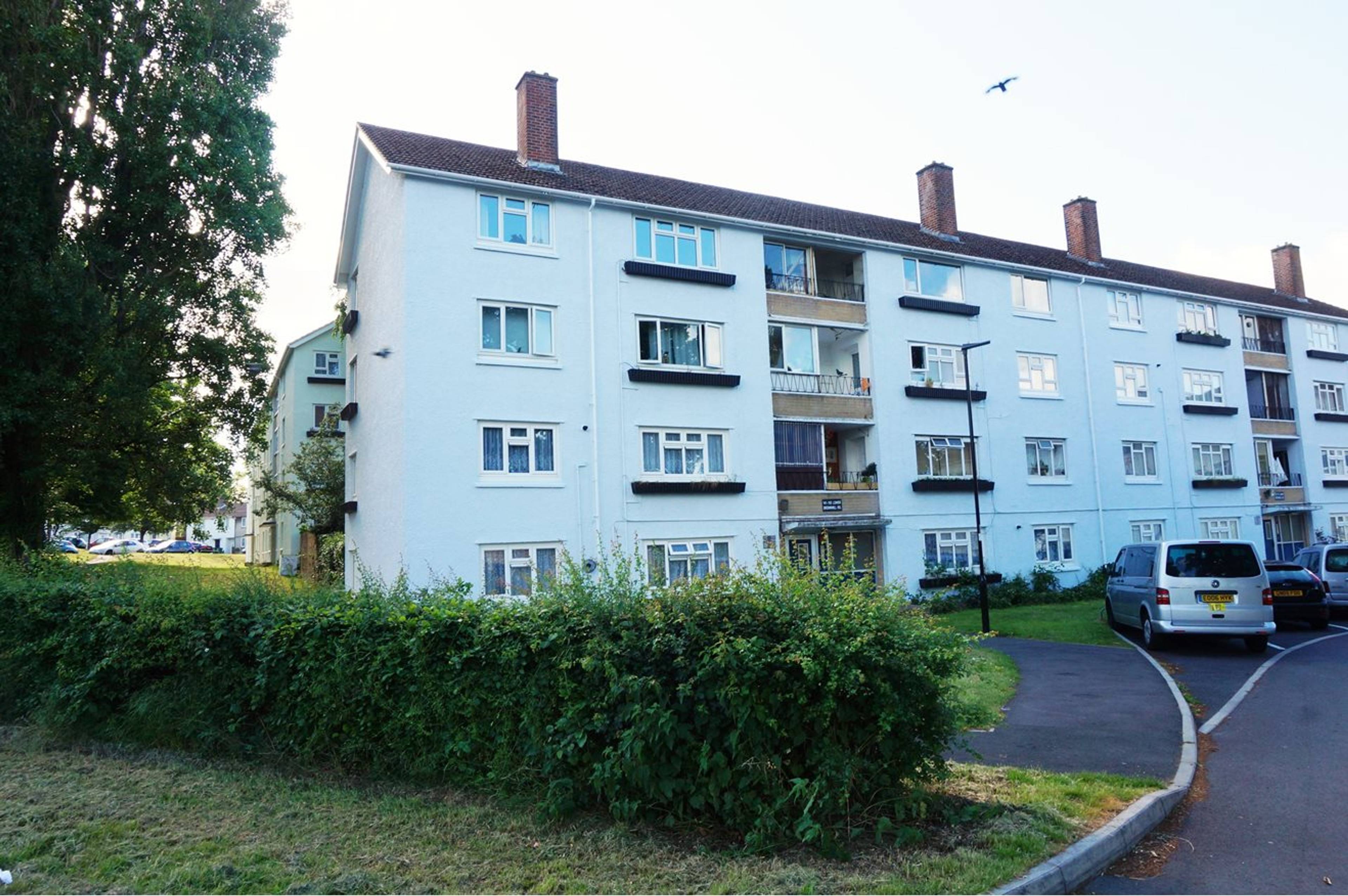 The Property
