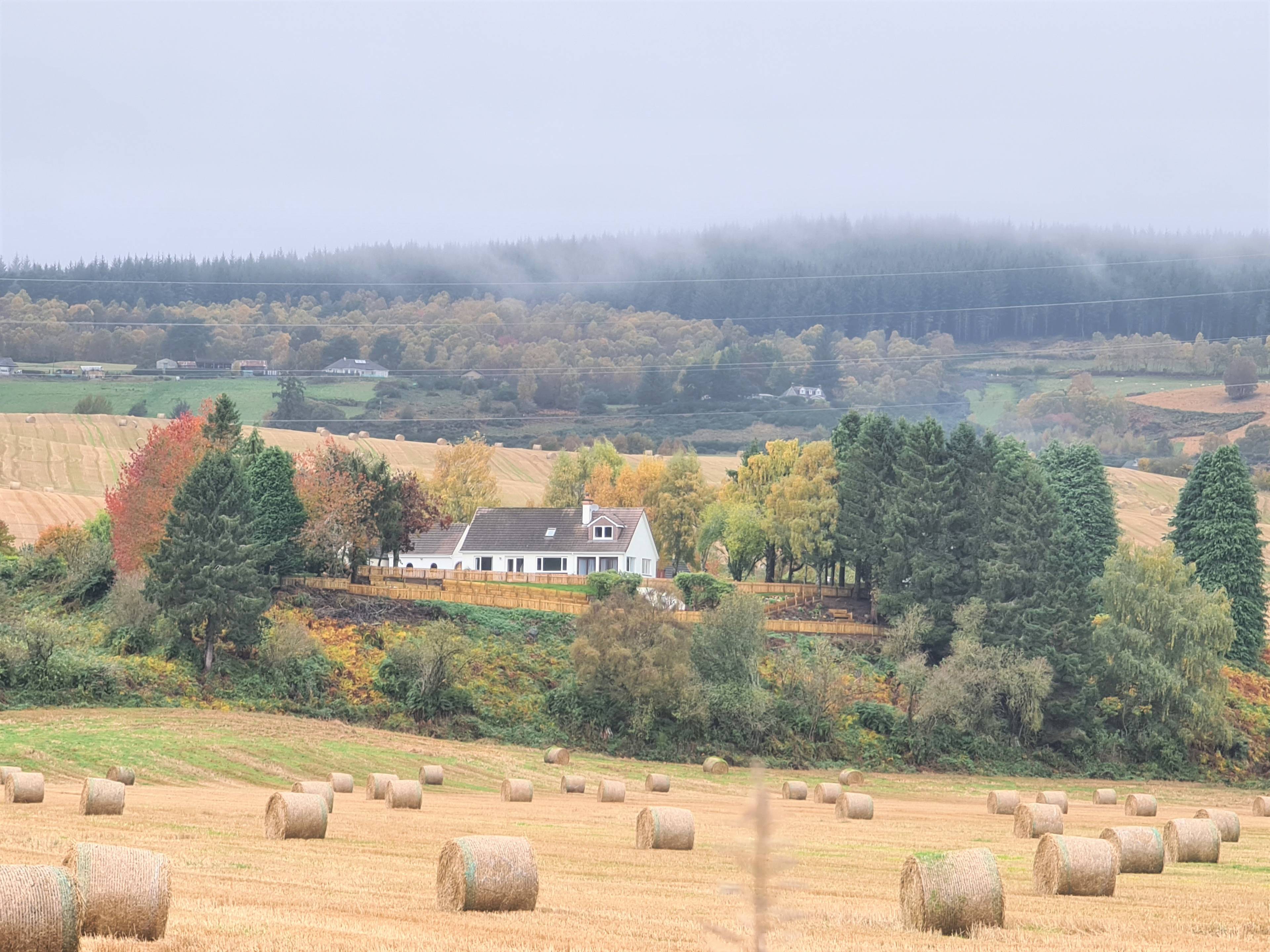 View Of The Property