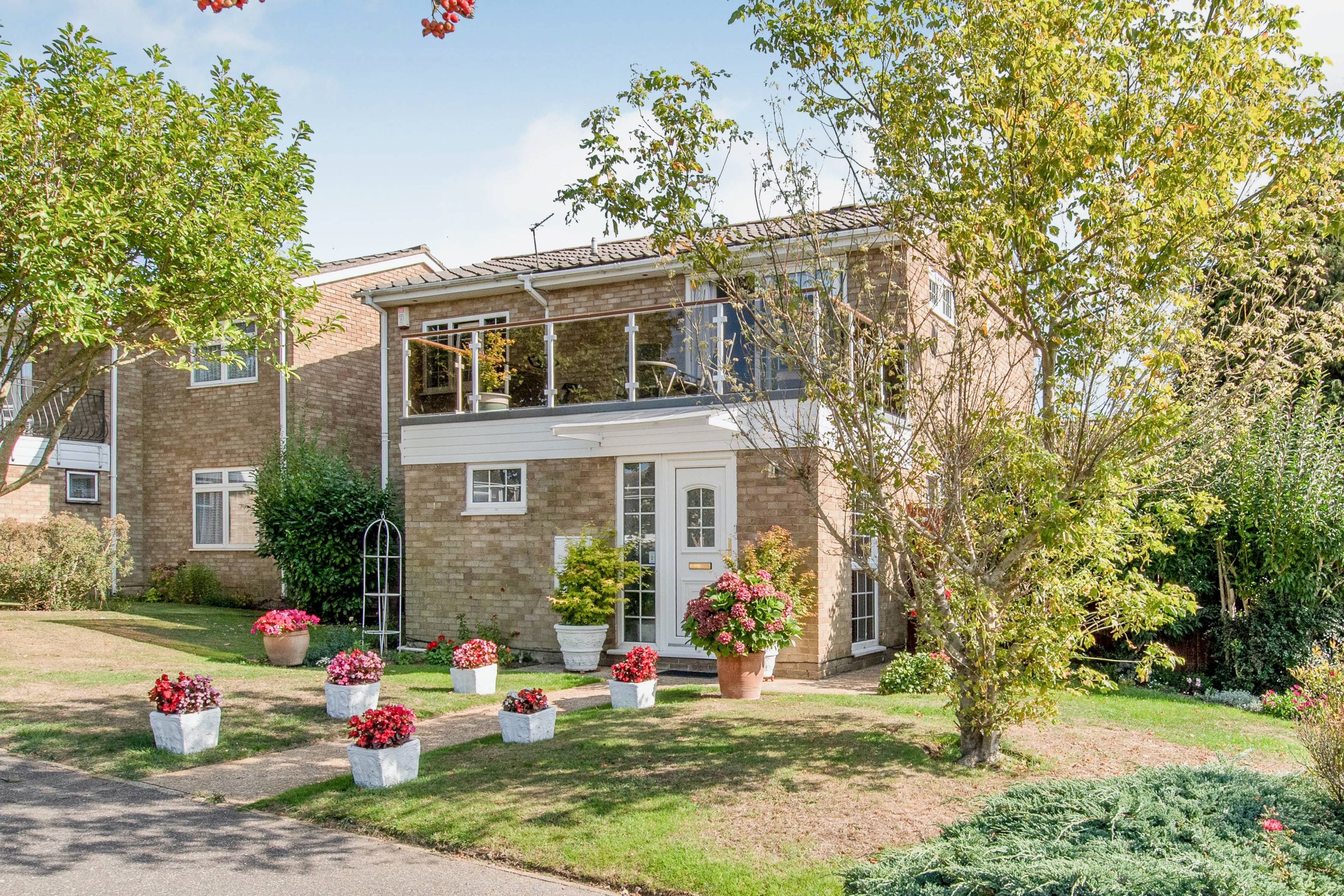 The Property