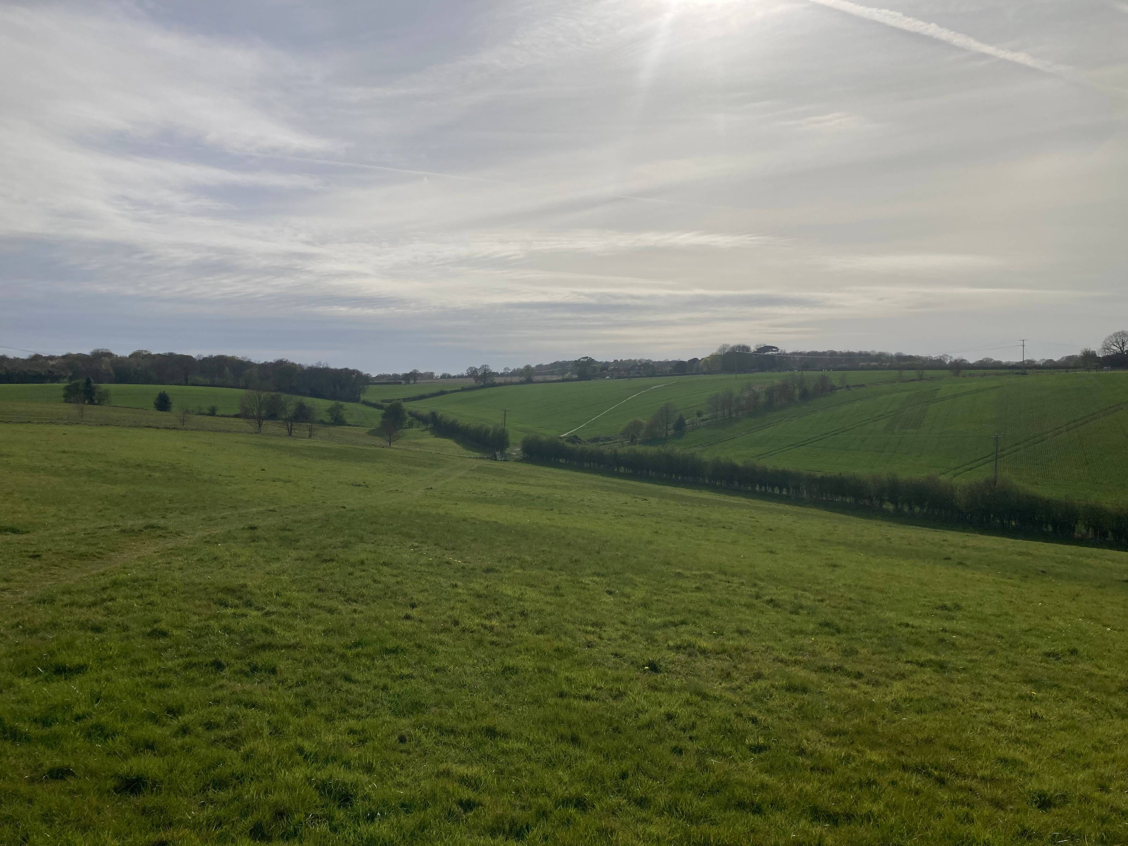 Field