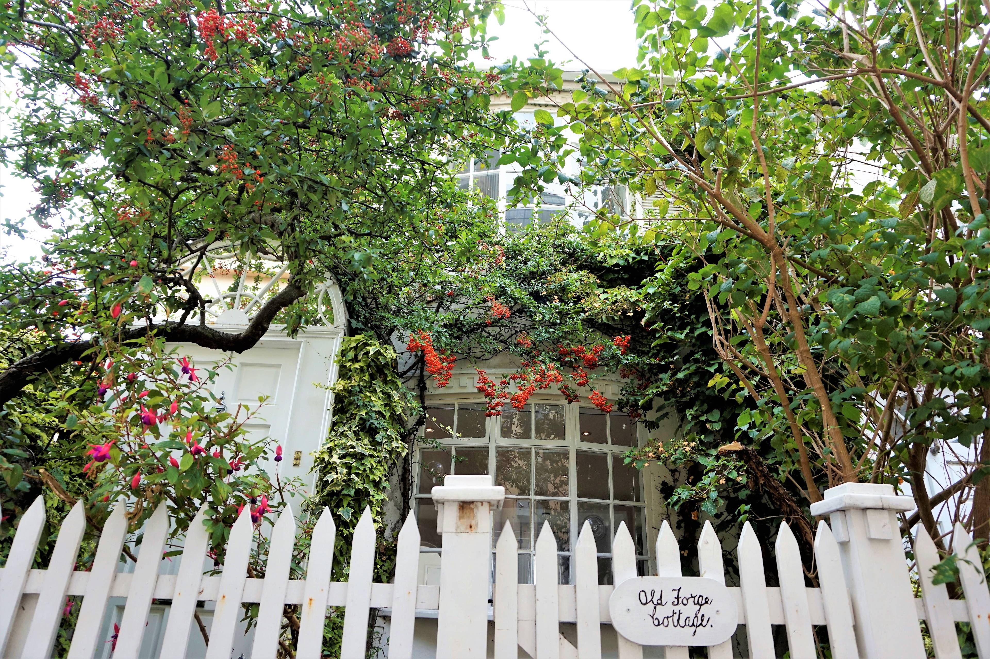 The Property
