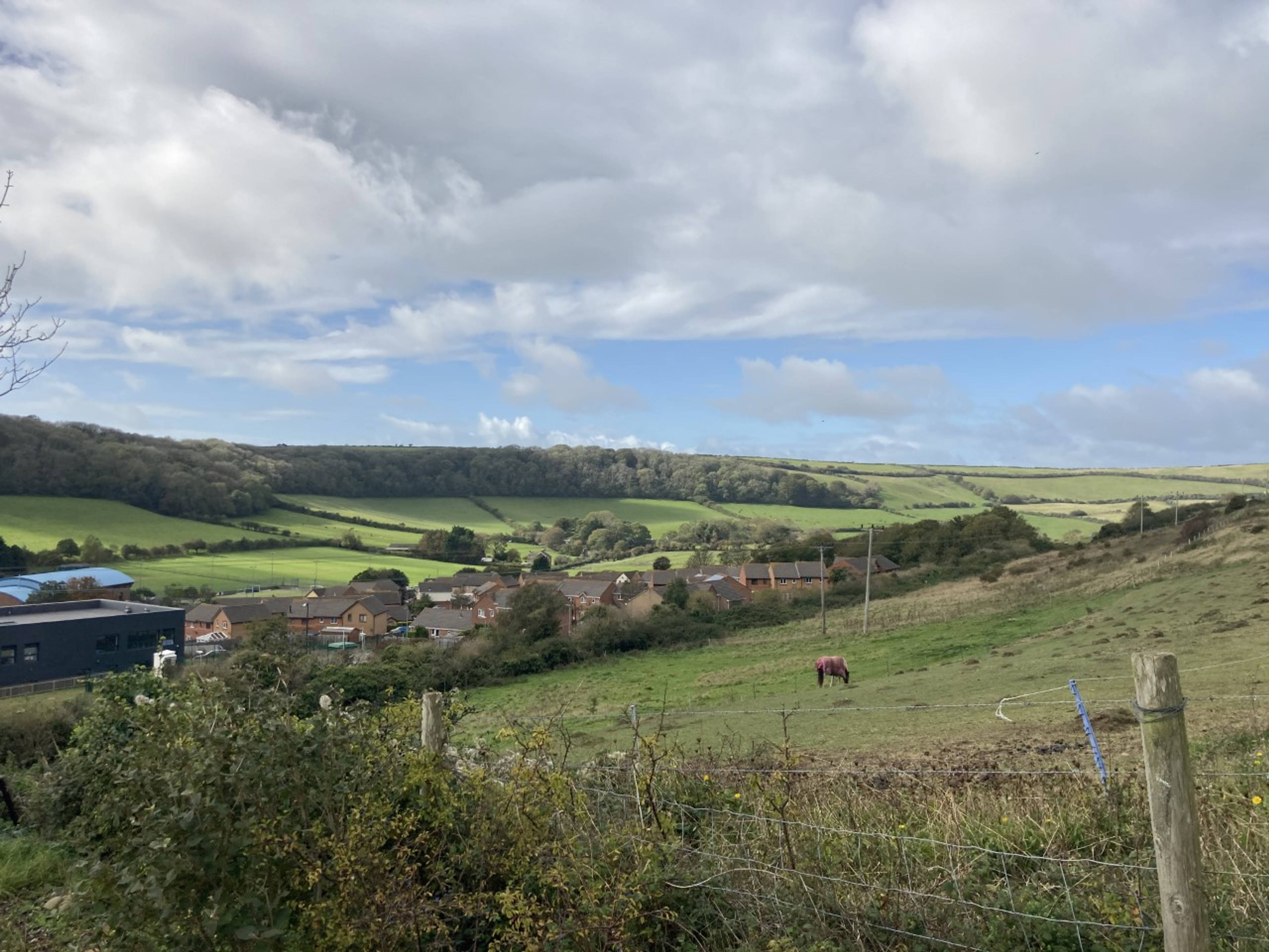 View