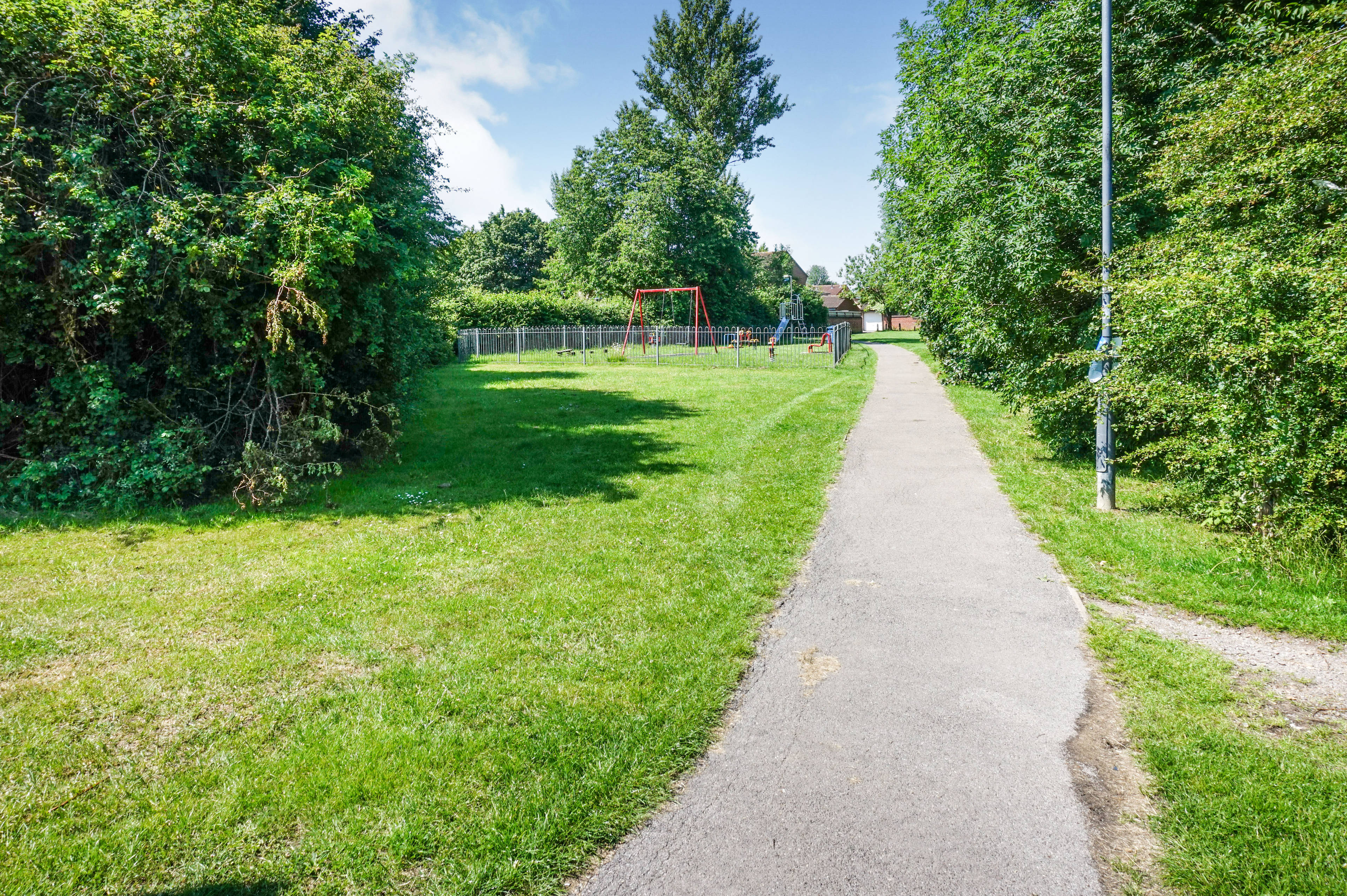 The Park