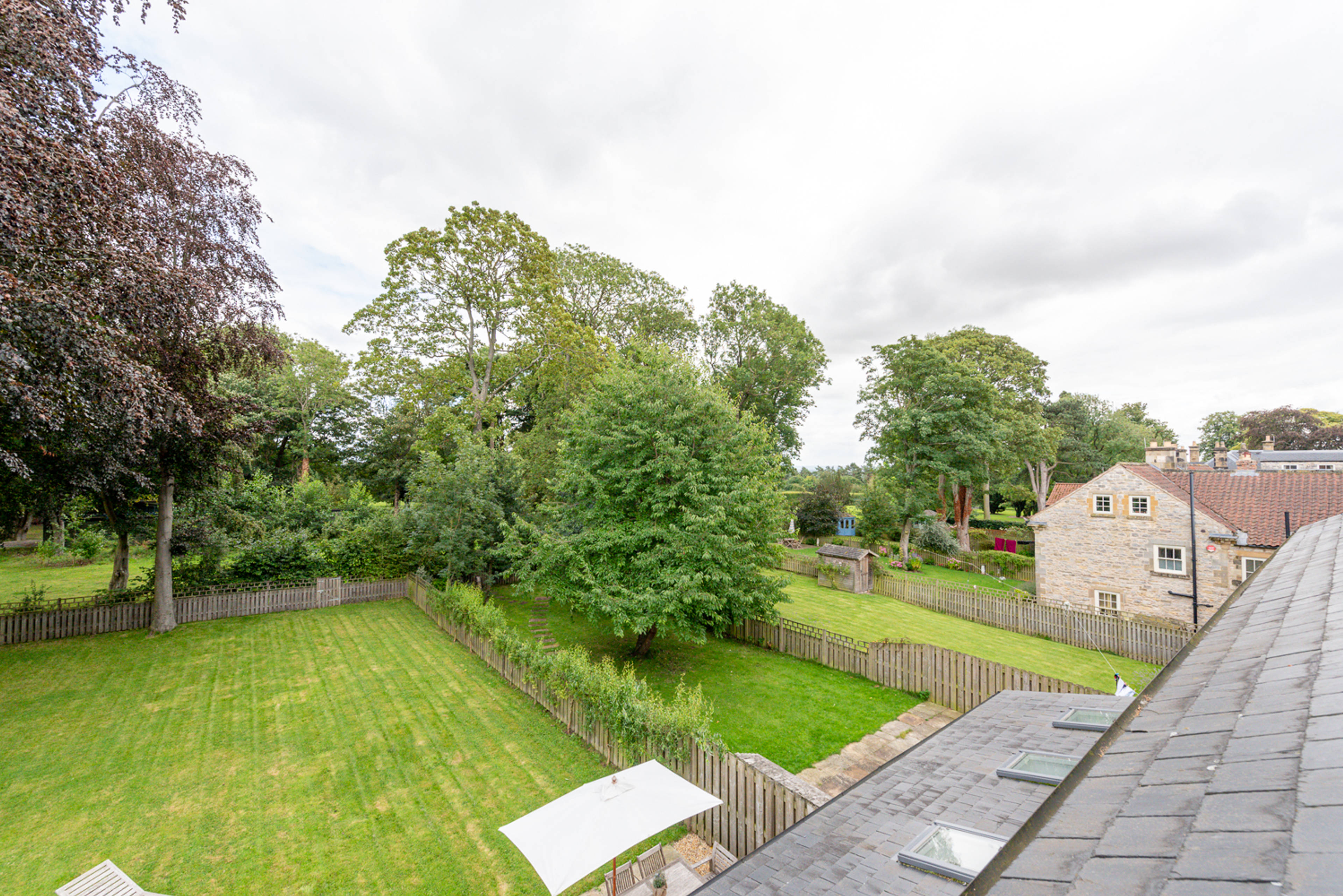 Mature Garden