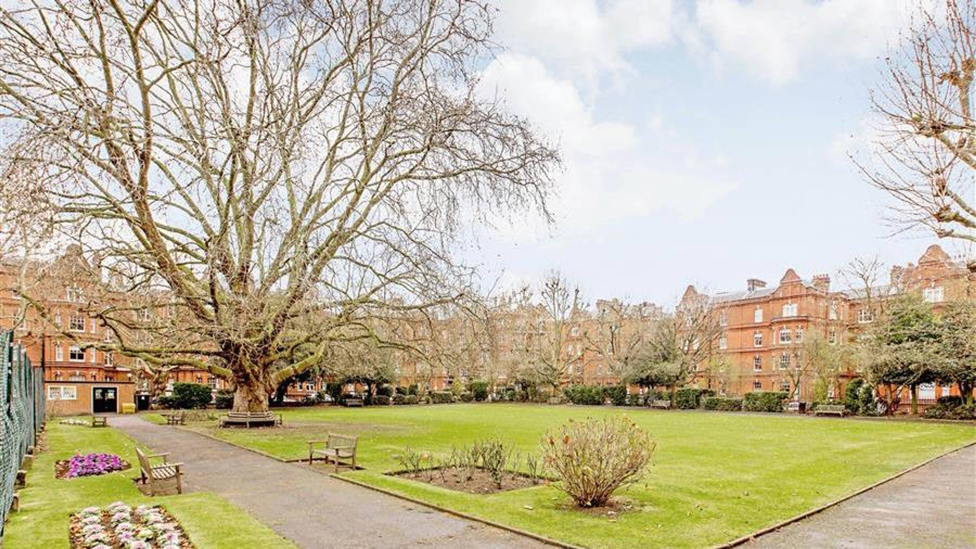 Communal Gardens