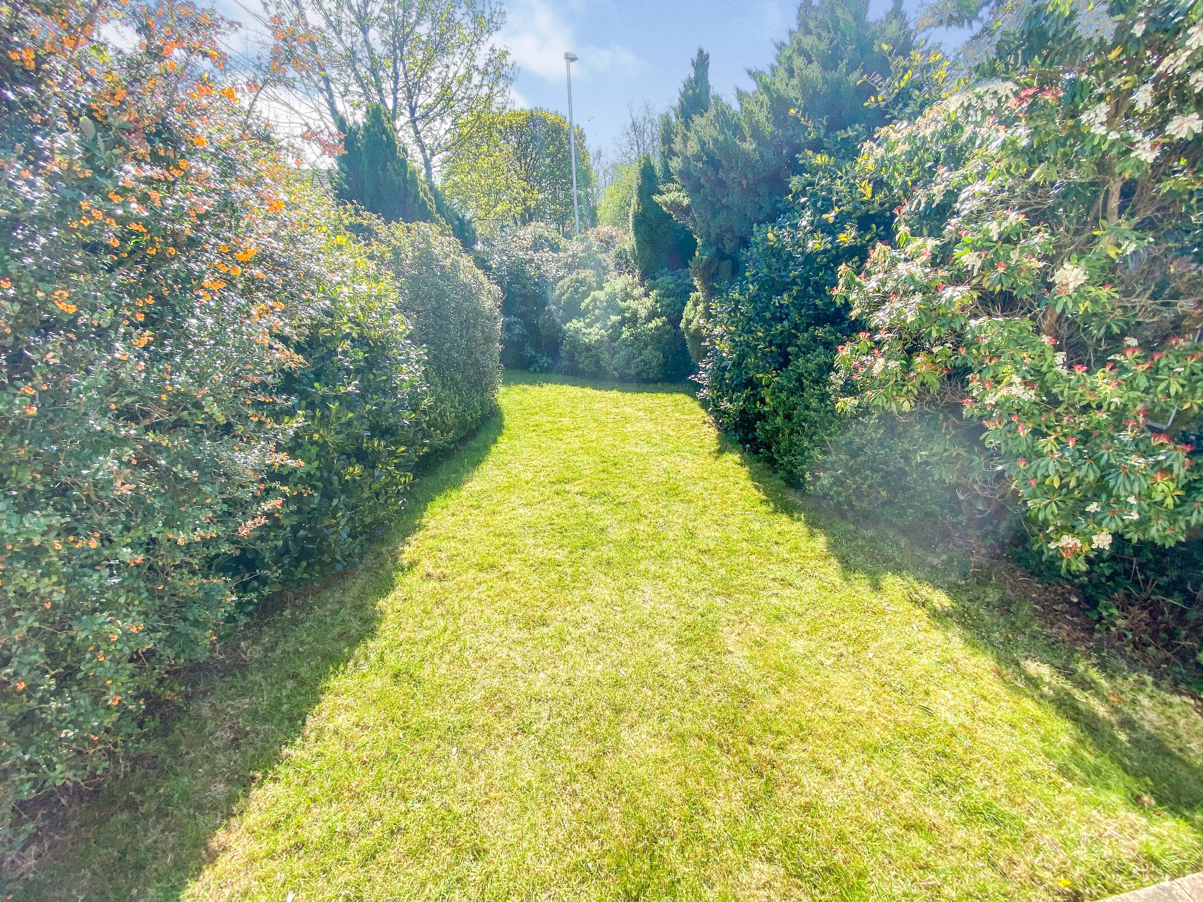 Large Garden