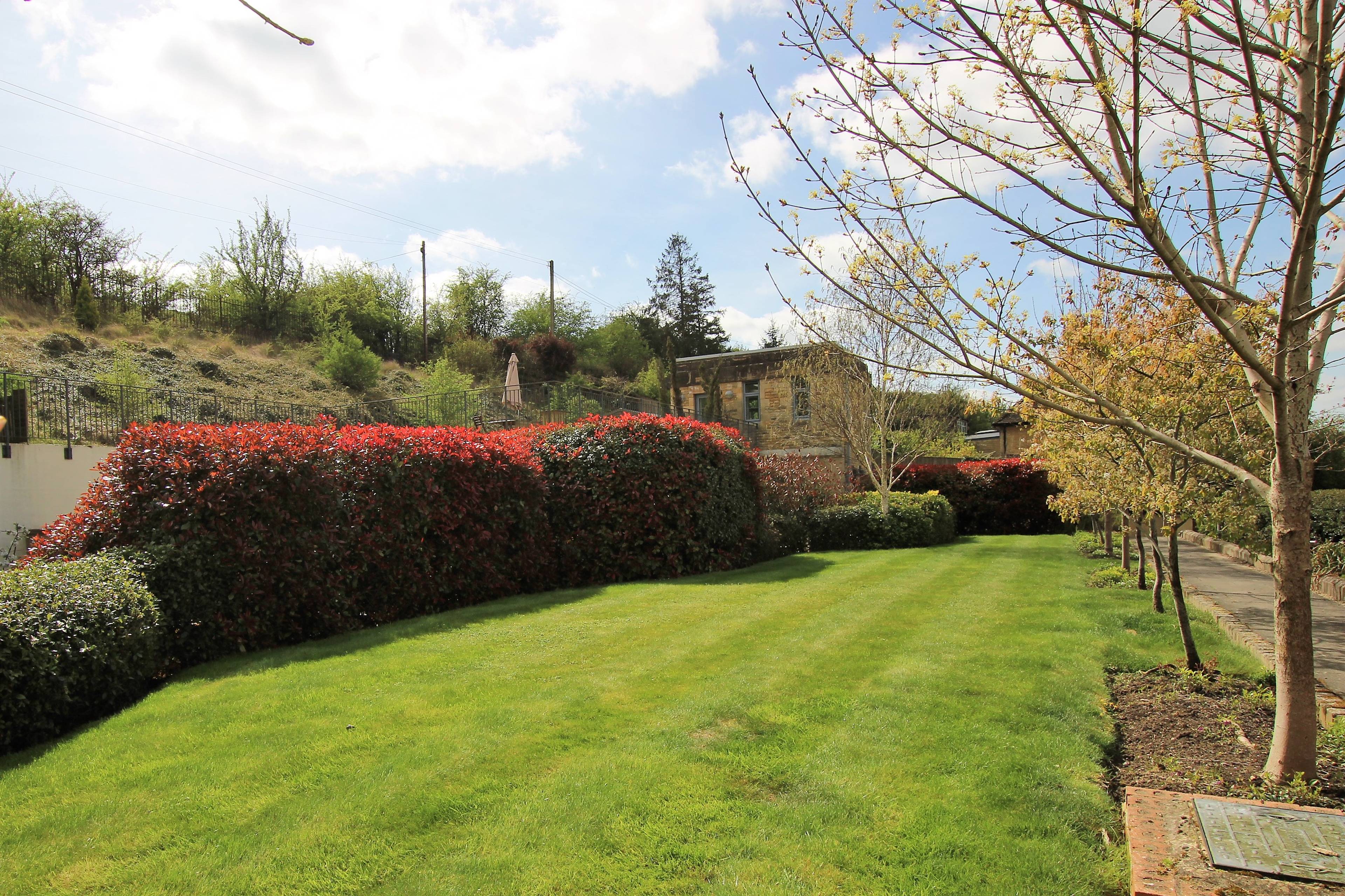 The Property