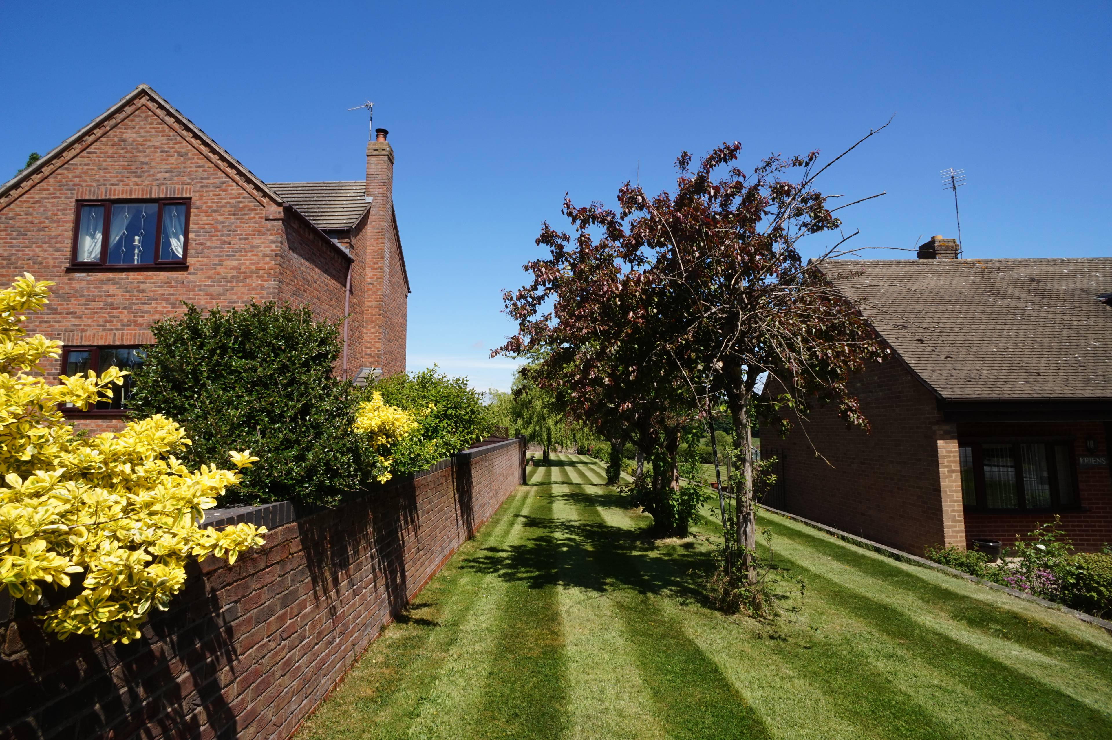 Side Garden