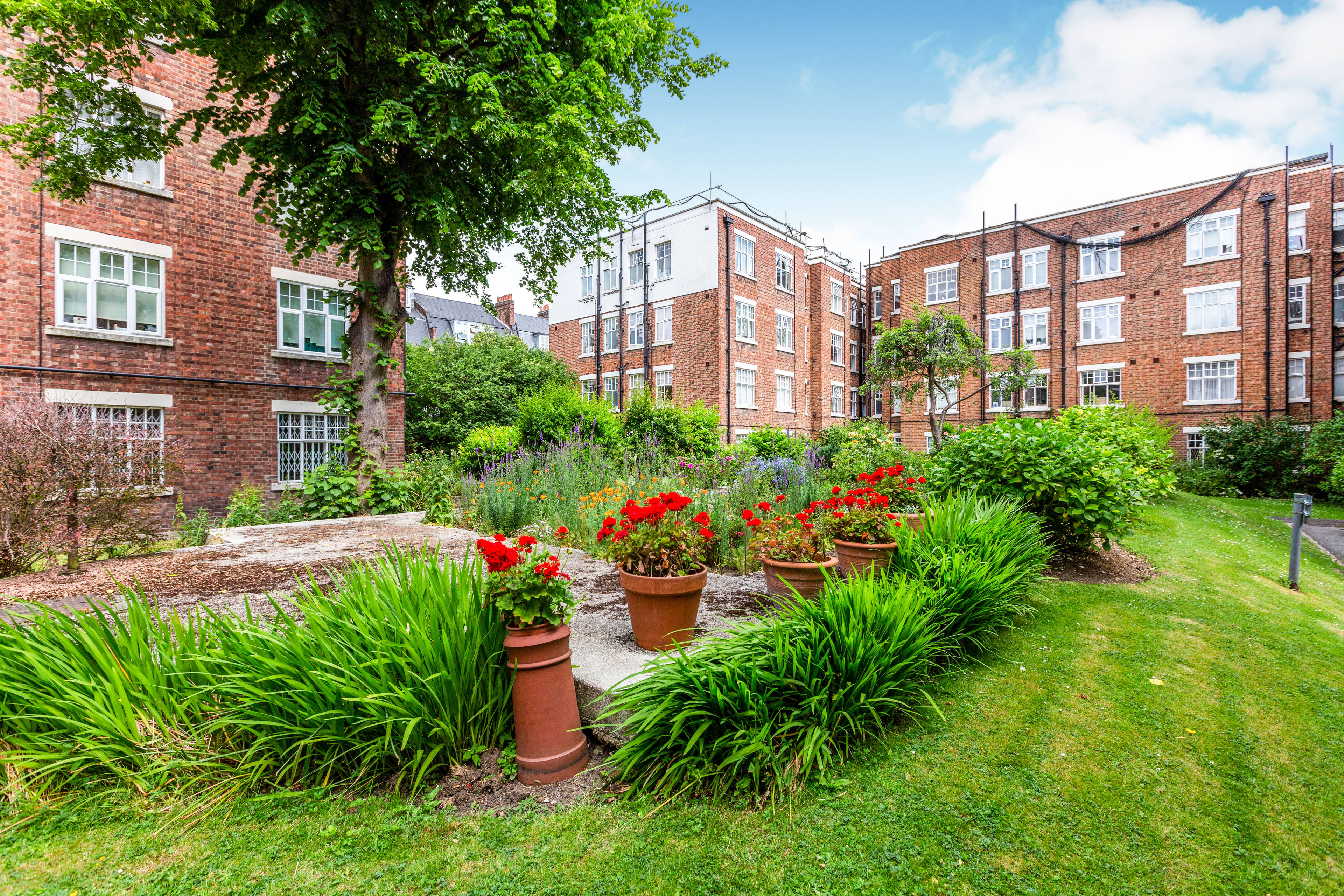 Communal Gardens