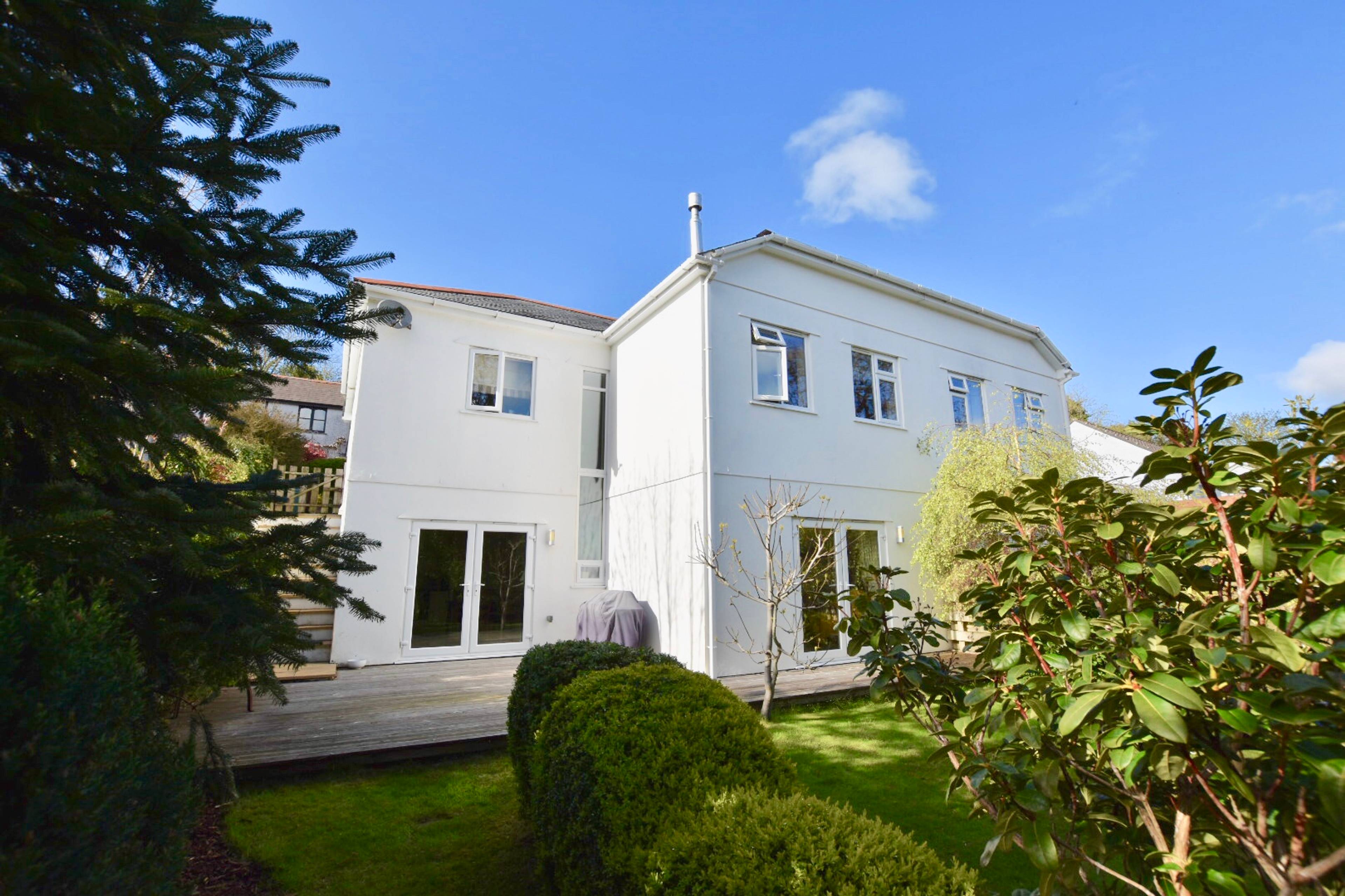 Rear View